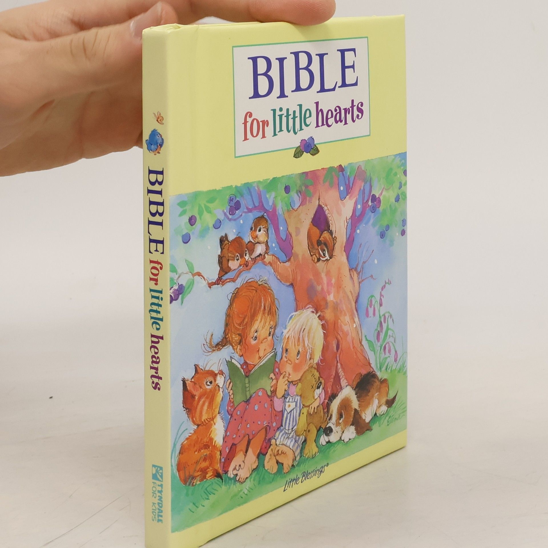 James C. Galvin The Bible for Little Hearts