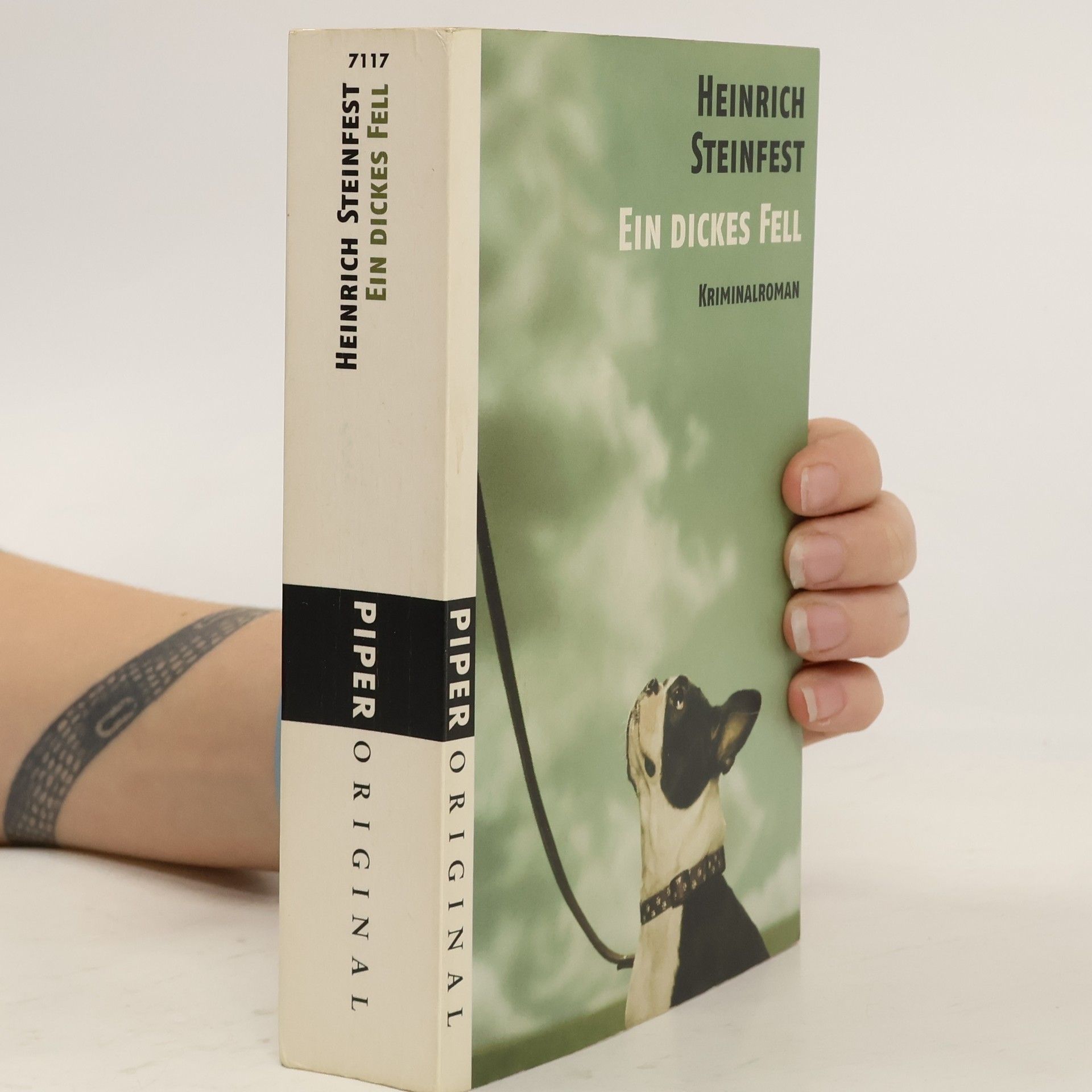 Heinrich Steinfest Ein dickes Fell