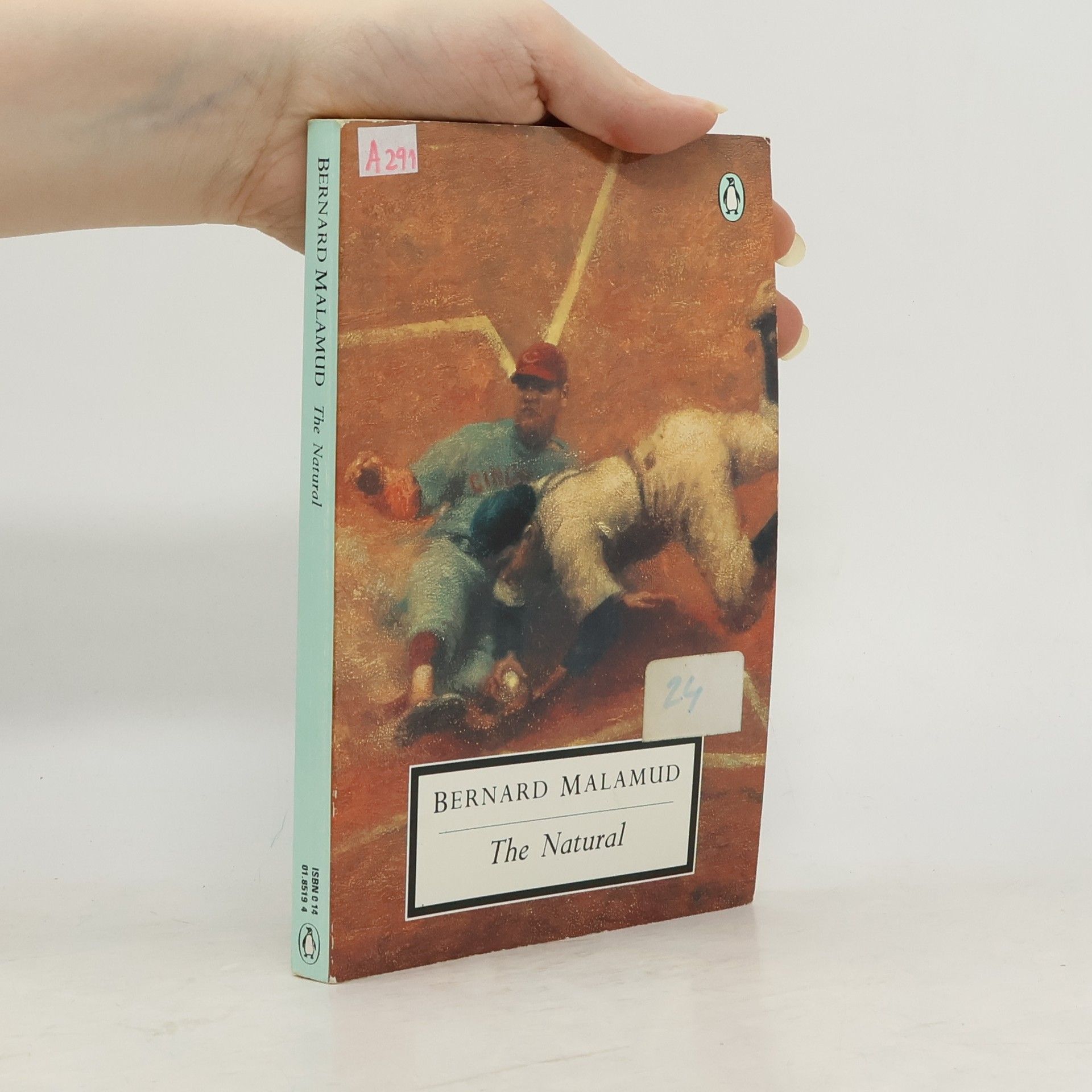 Bernard Malamud The Natural