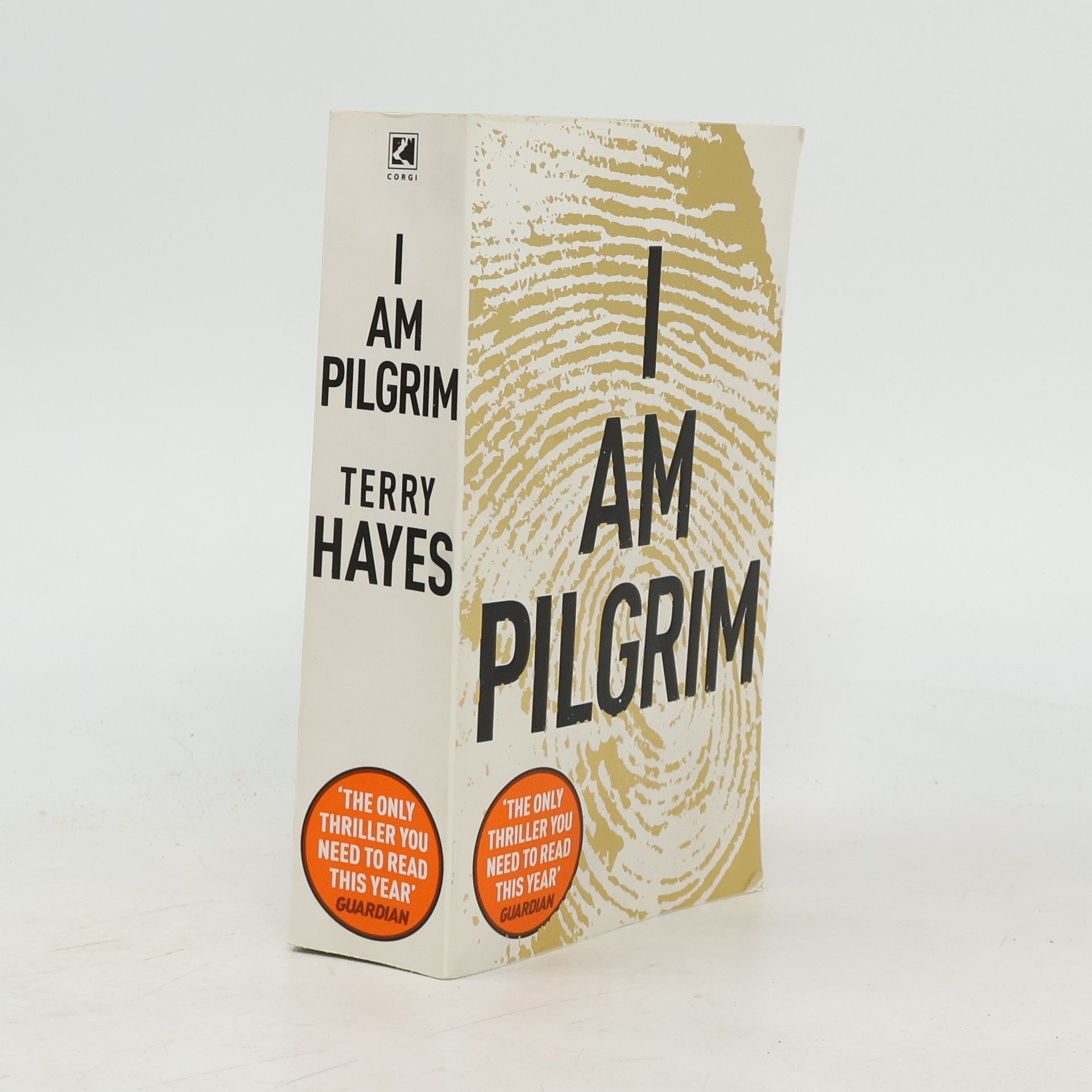 Terry Hayes I am Pilgrim