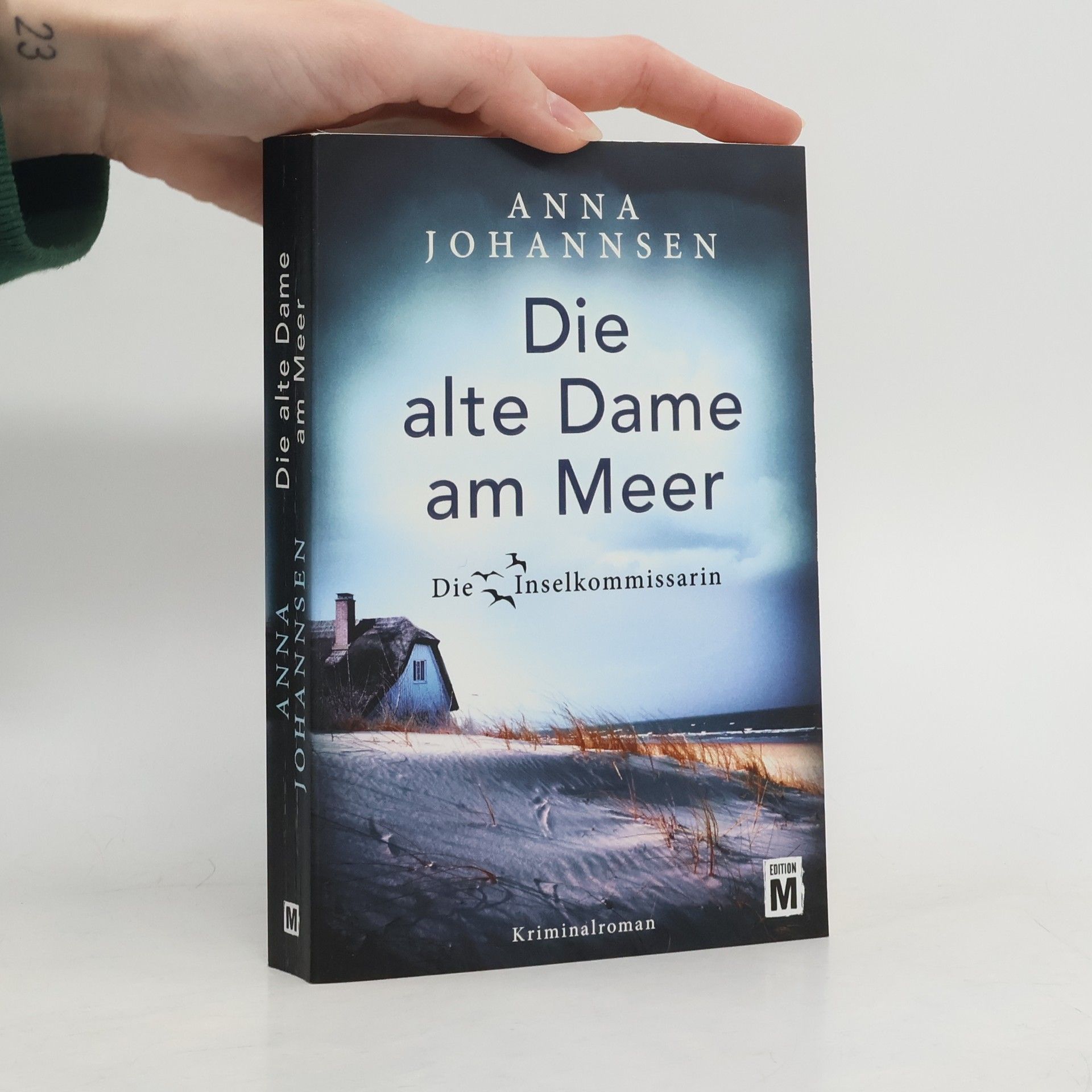 Anna Johannsen Die alte Dame am Meer