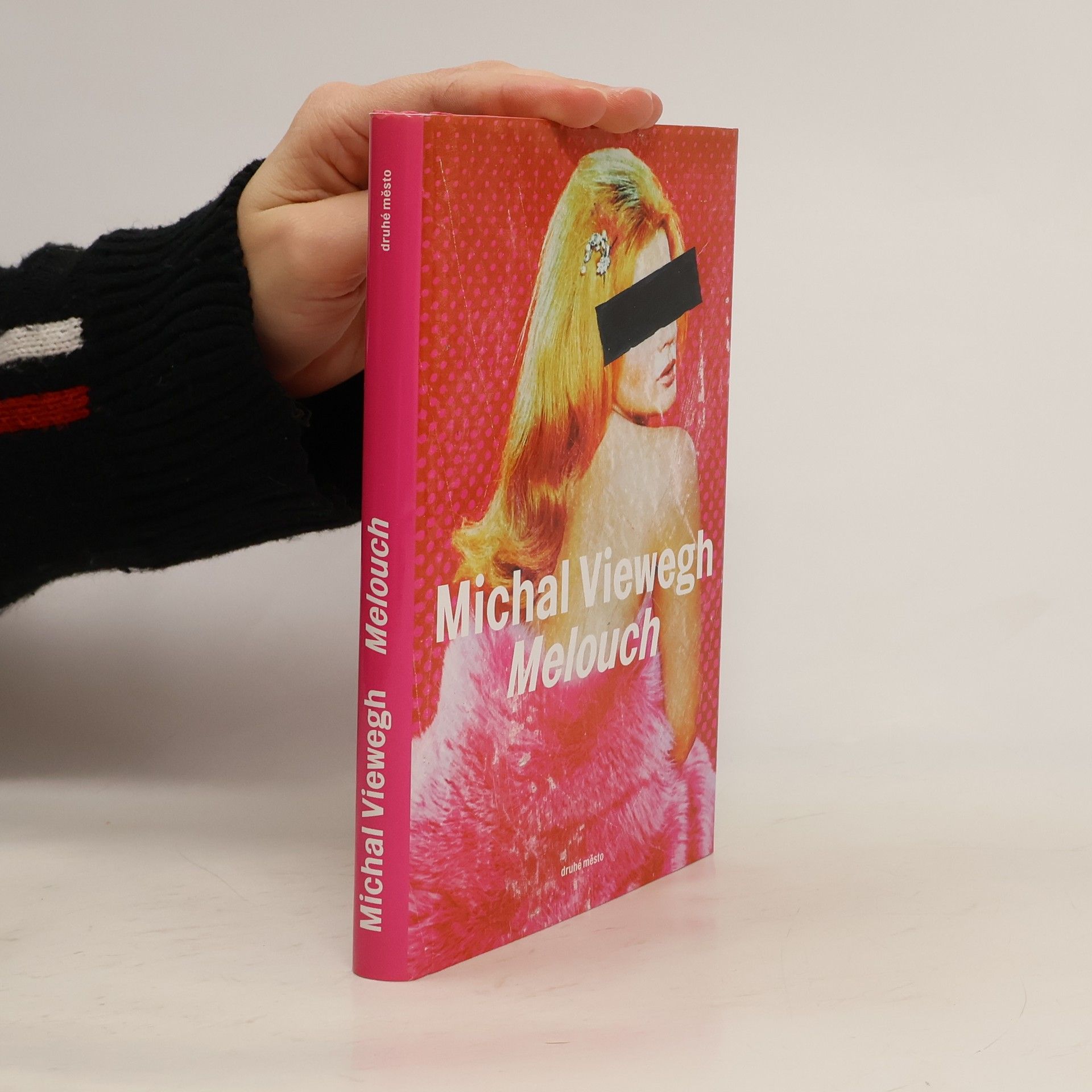 Michal Viewegh Melouch