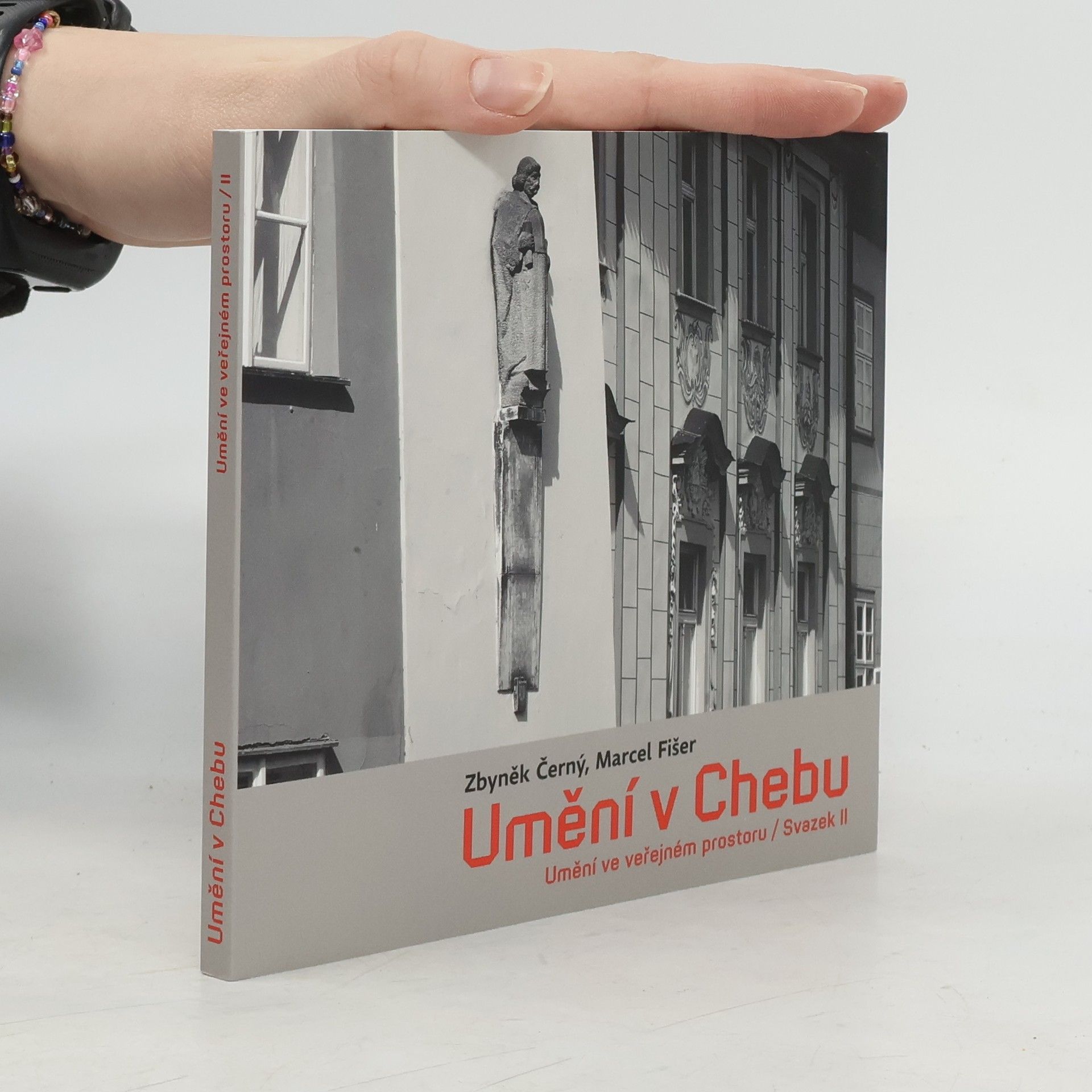 Zbyněk Černý Umění v Chebu