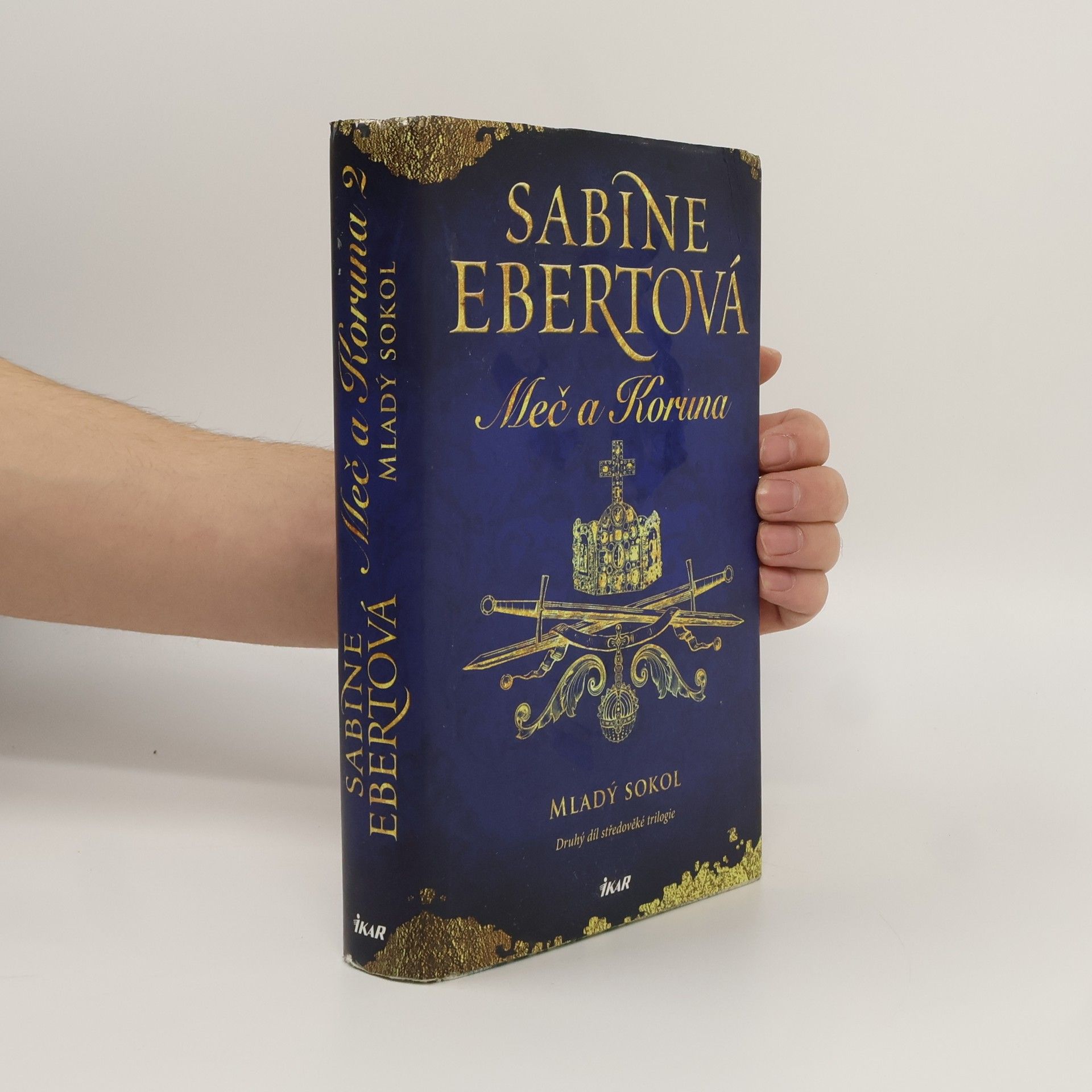 Sabine Ebert Meč a Koruna. Mladý sokol