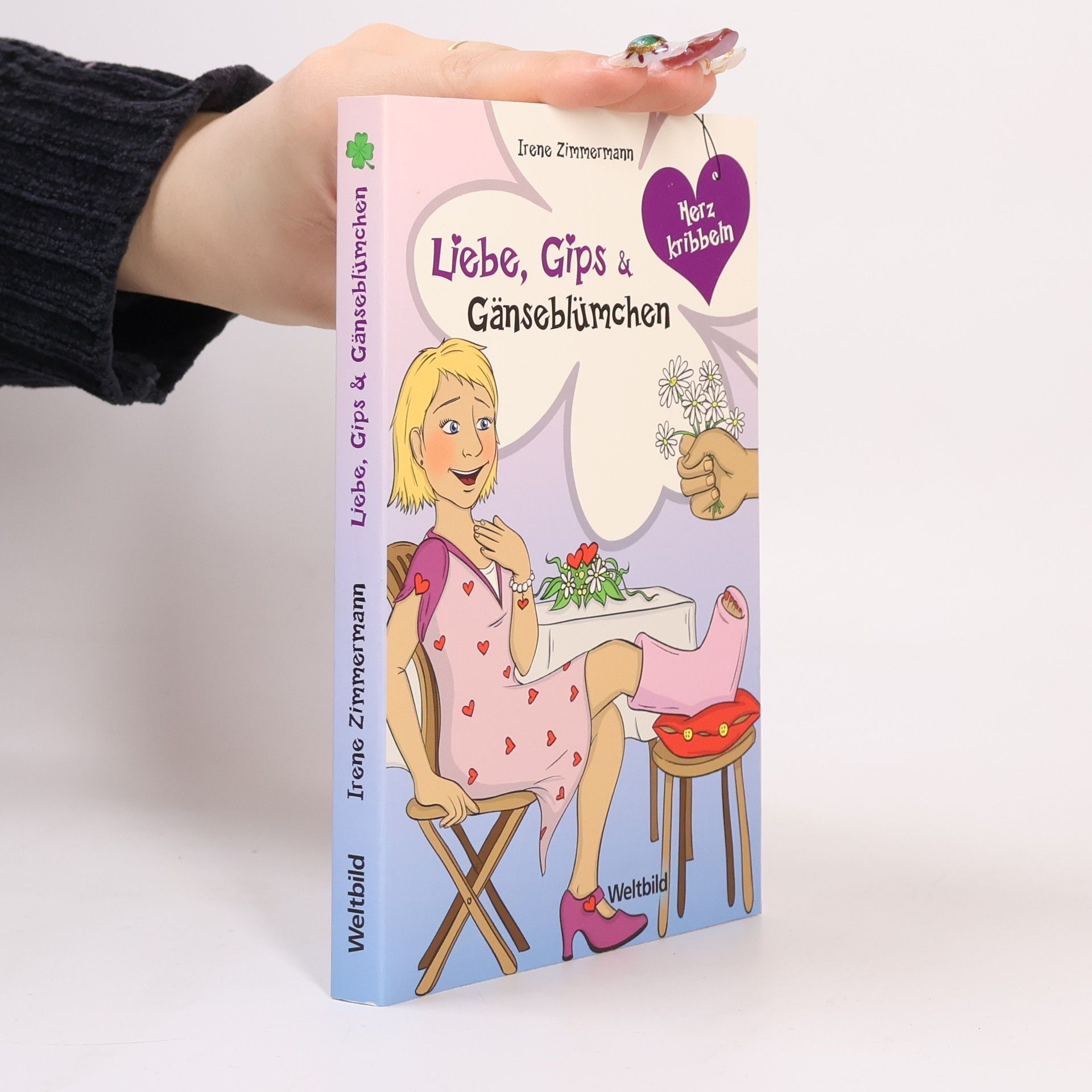 Hans Zimmermann Liebe, Gips und Gänseblümchen