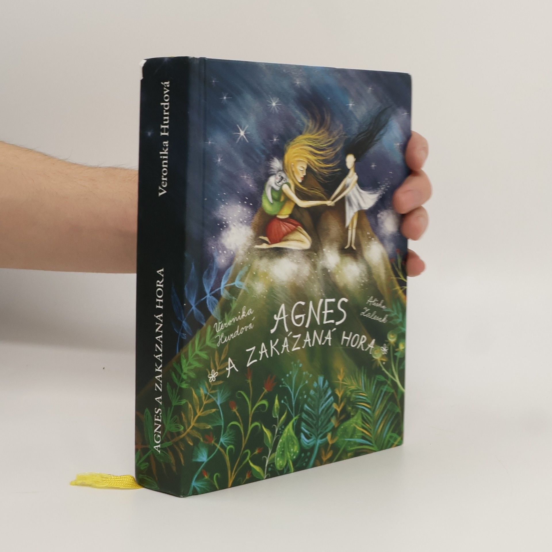 Agnes a Zakázaná hora