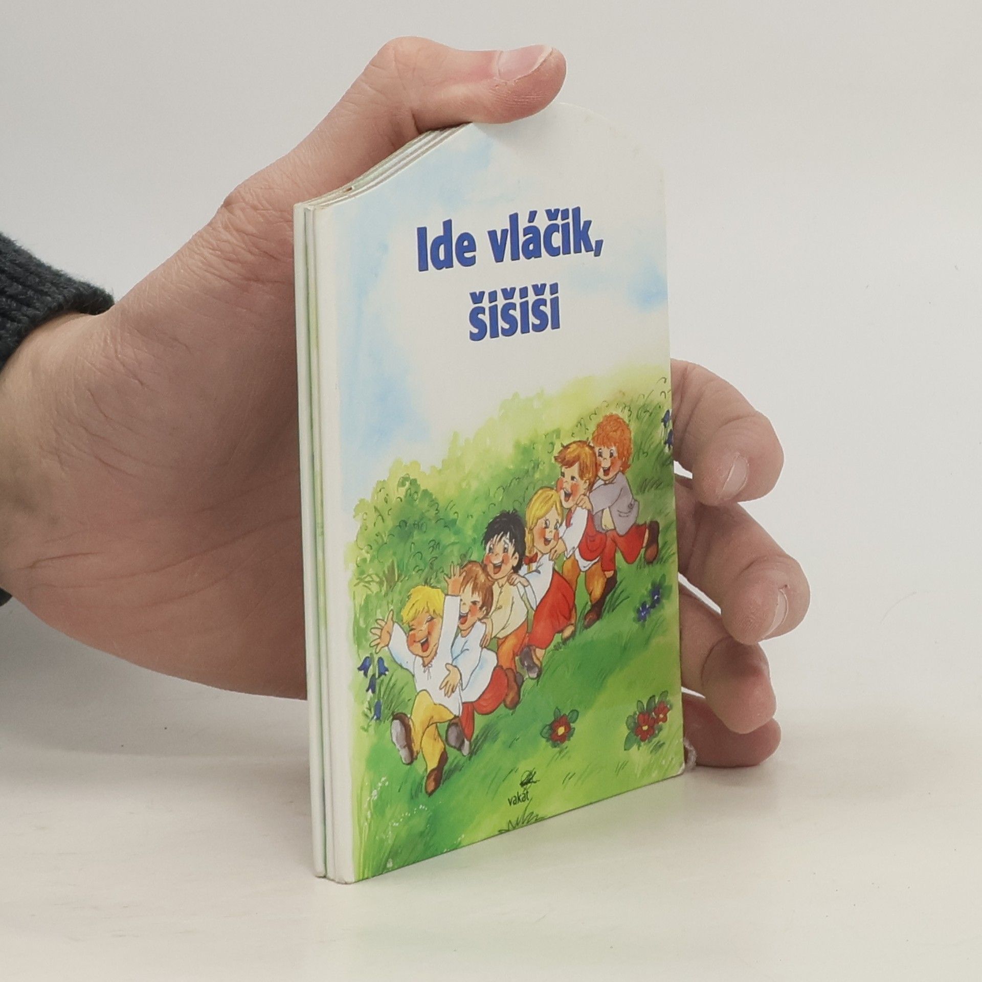 Kolektív autorov Ide vláčik, šišiši