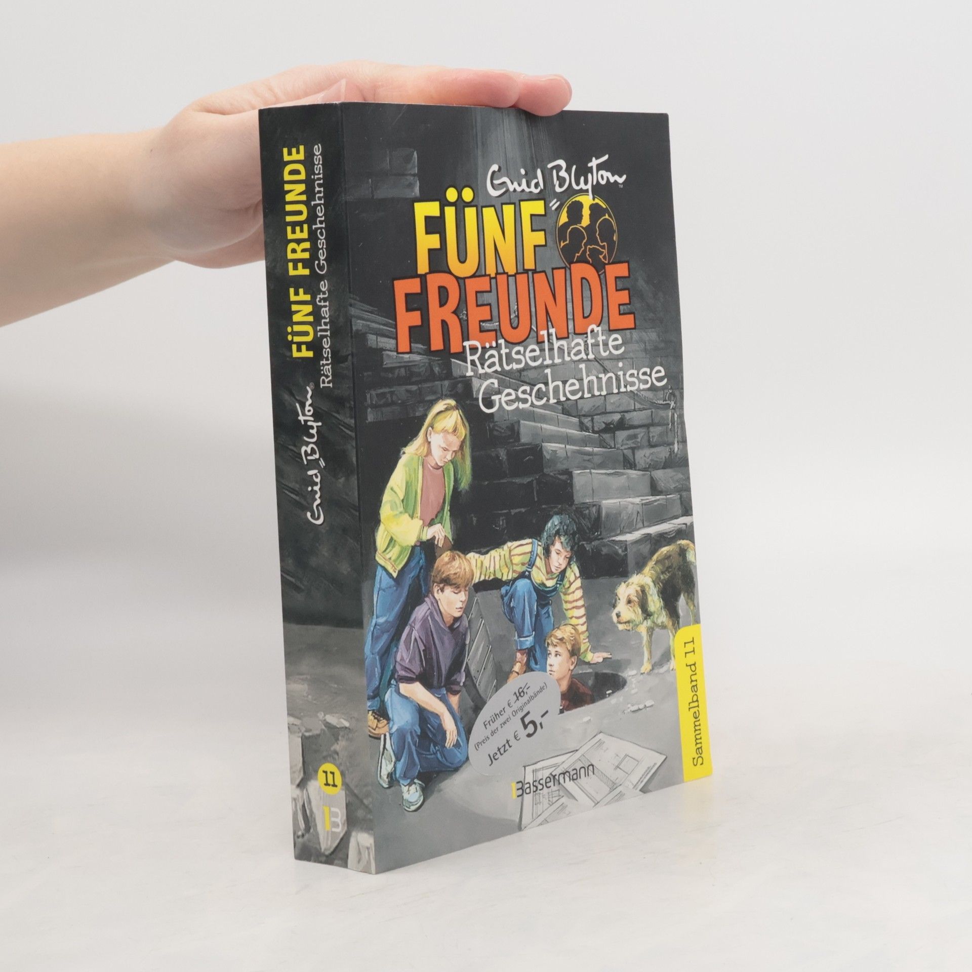 Enid Blyton Fünf Freunde - rätselhafte Geschehnisse