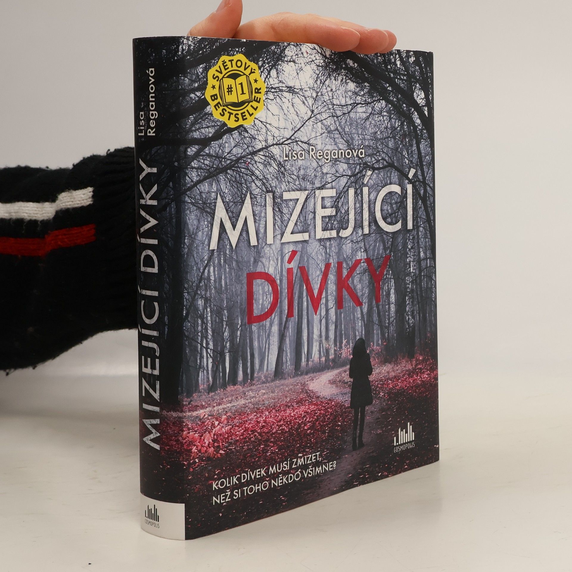 Lisa Regan Mizející dívky