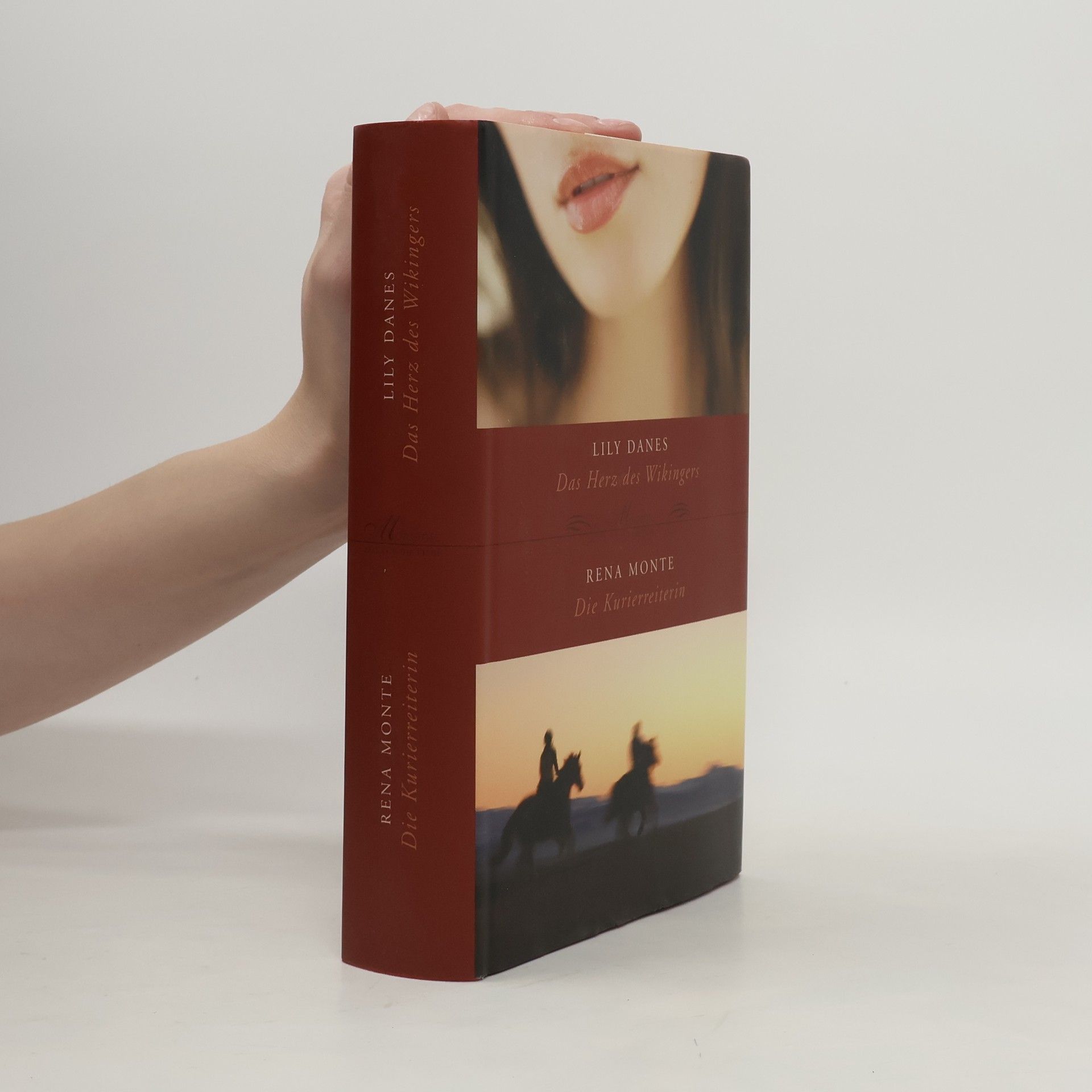 Das Herz des Wikingers. Die Kurierreitern