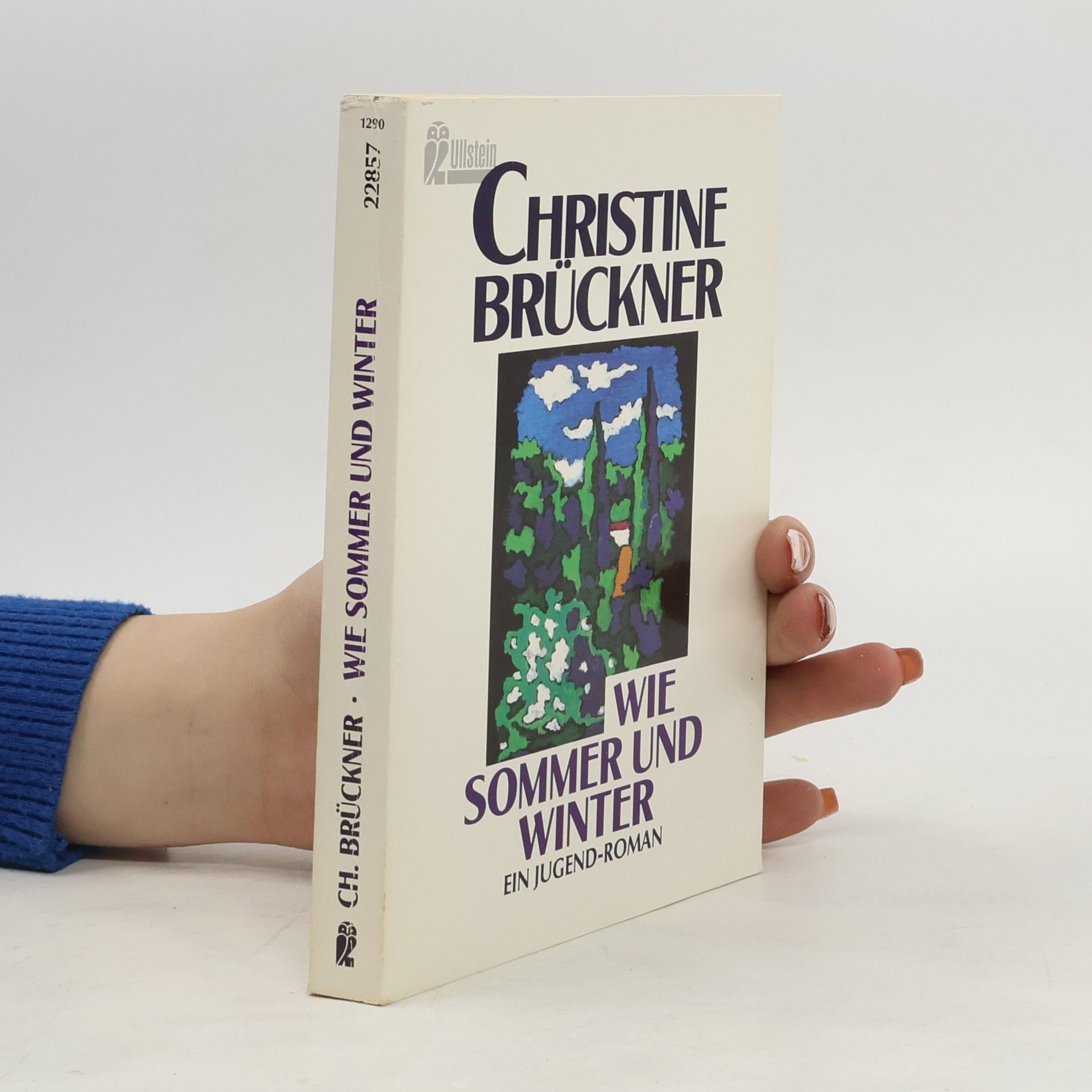 Christine Brückner Wie Sommer und Winter, Großdruck