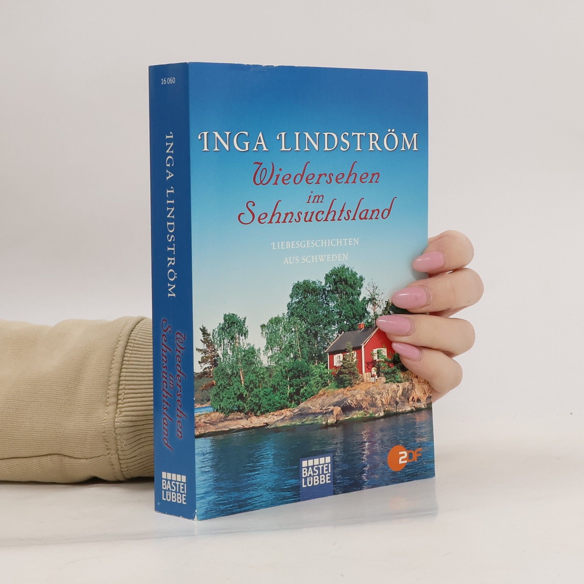 Inga Lindström Wiedersehen im Sehnsuchtsland