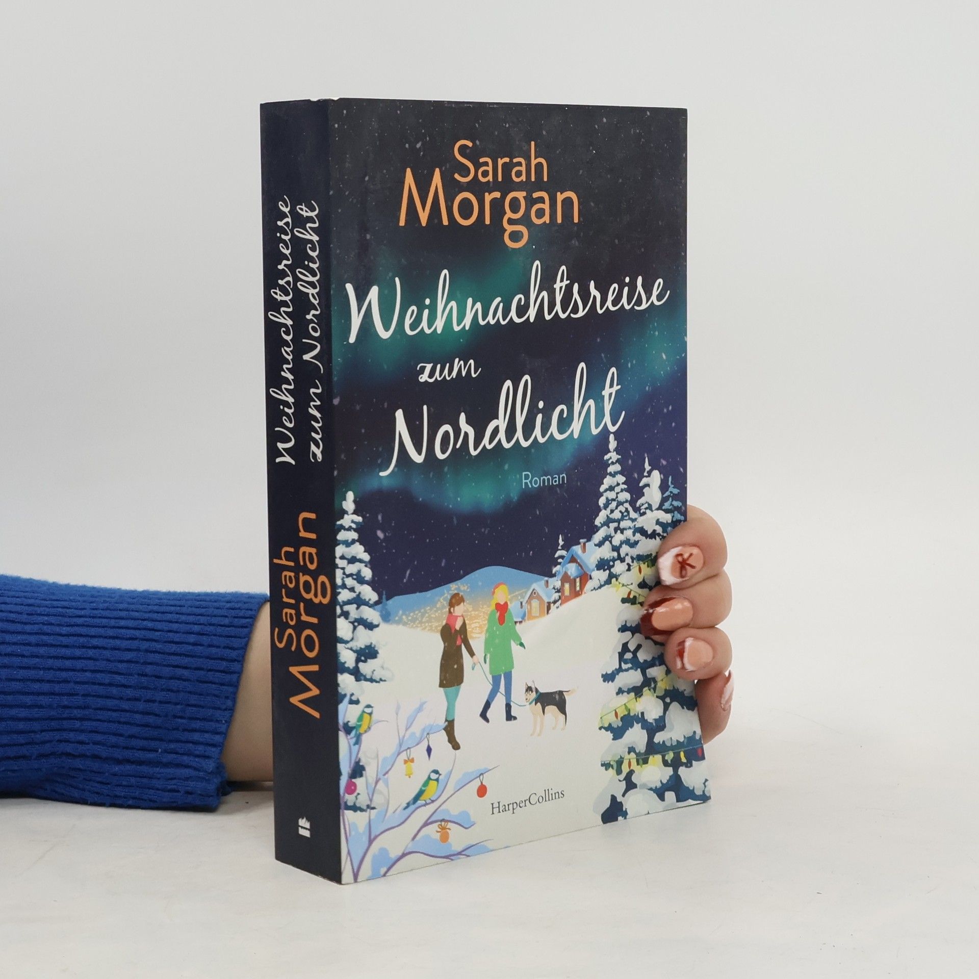 Sarah Morgan Weihnachtsreise zum Nordlicht