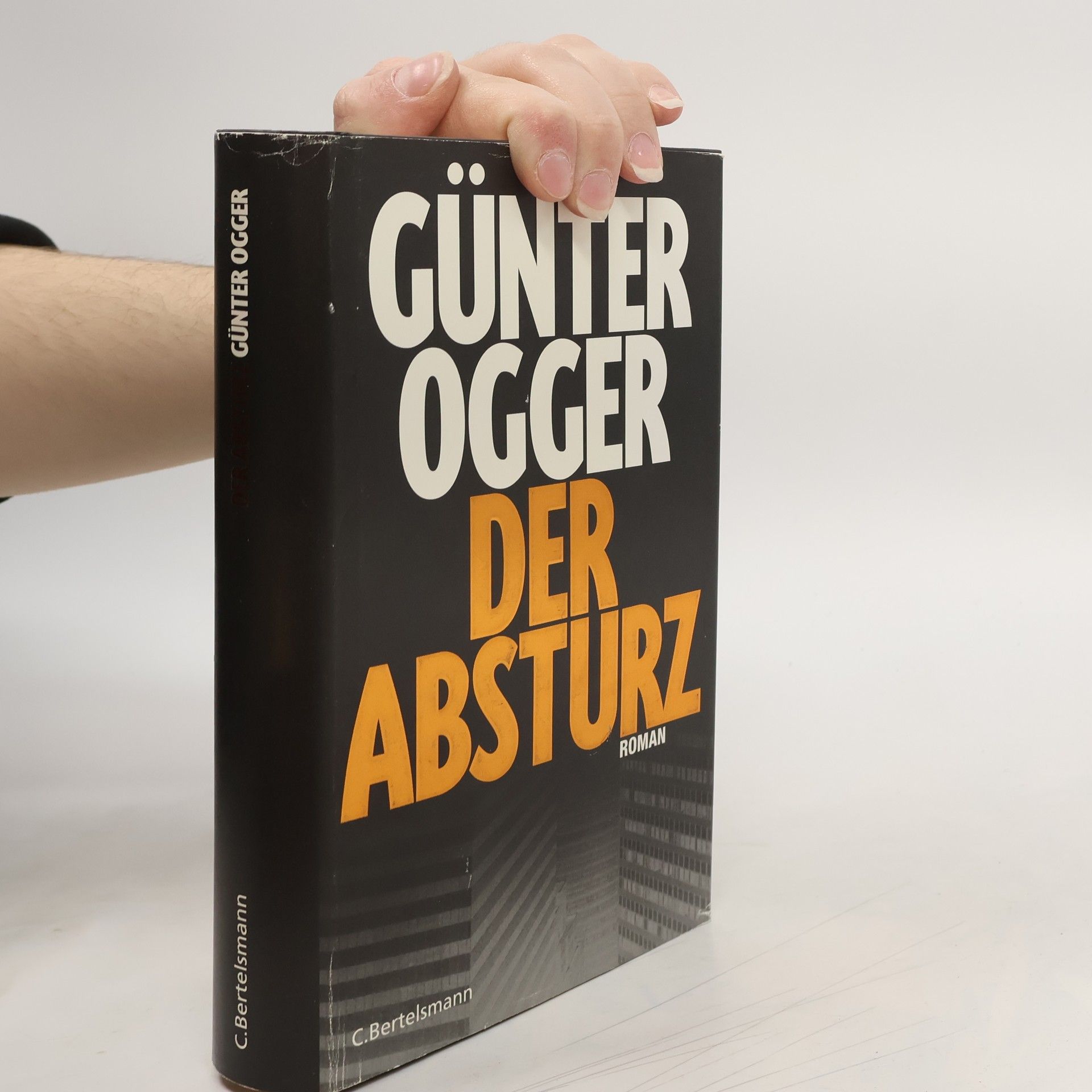 Günter Ogger Der Absturz