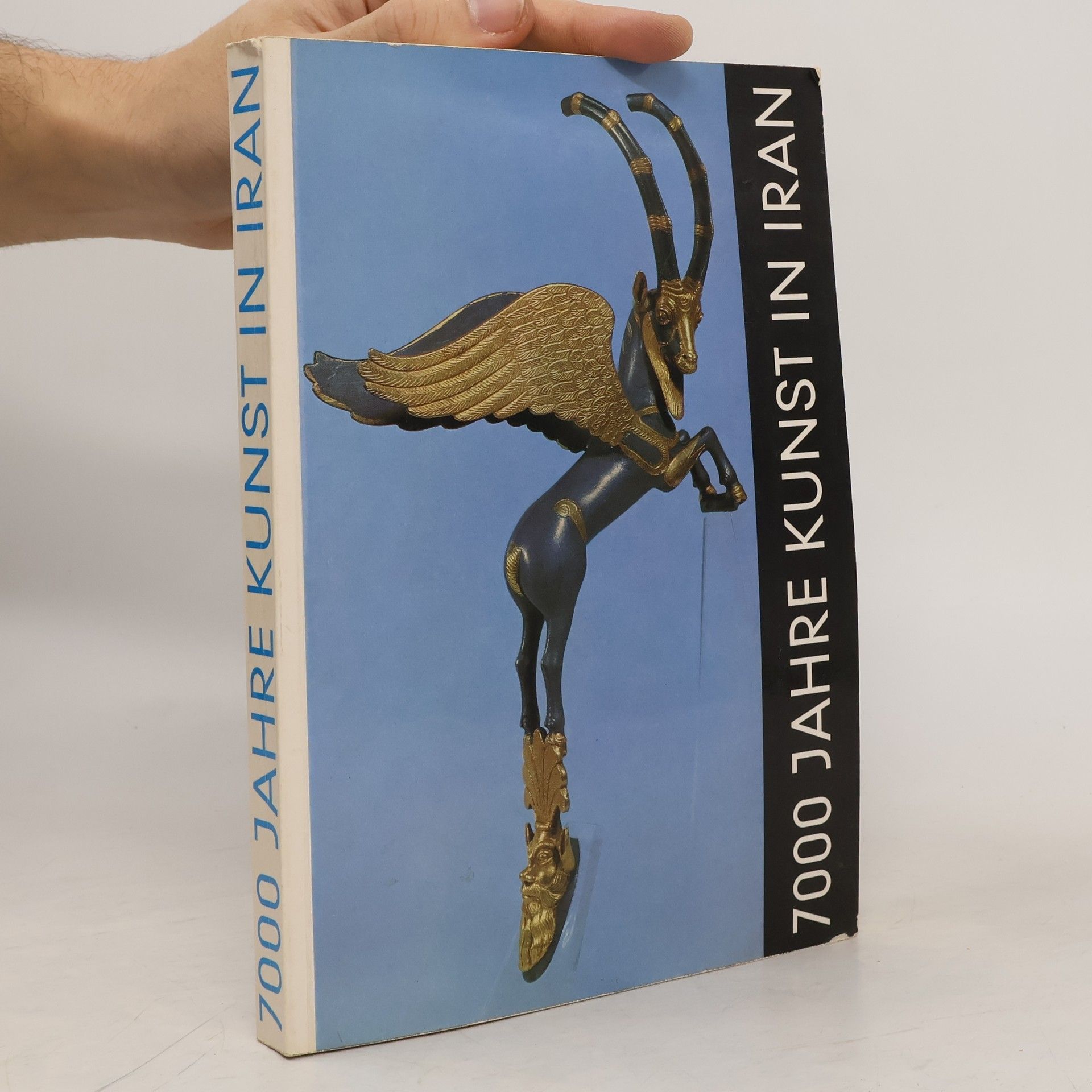 Kolektiv autorů 700 Jahre Kunst in Iran