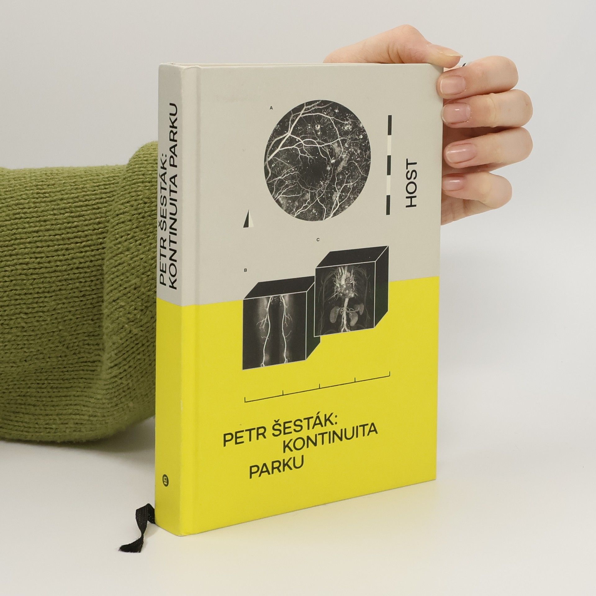 Petr Šesták Kontinuita parku