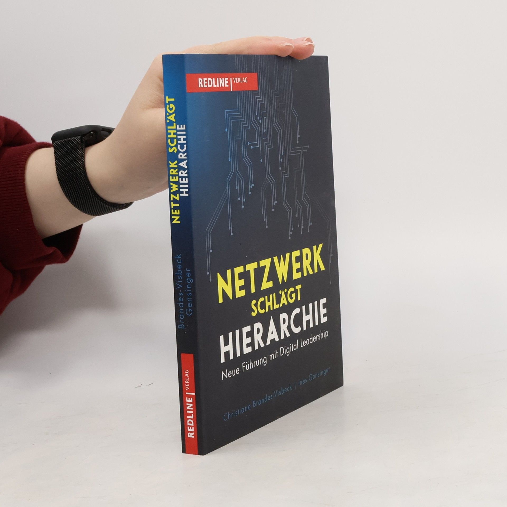 Christiane Brandes Visbeck Netzwerk schlägt Hierarchie