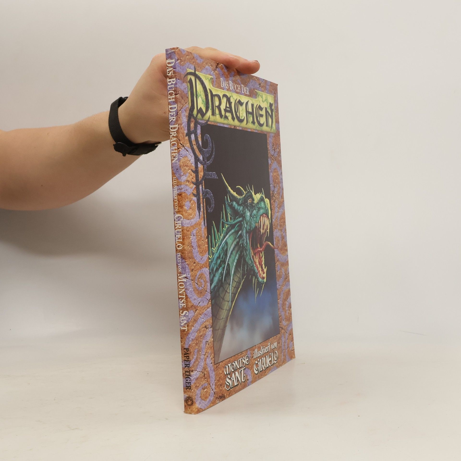 Montserrat Iglesias Santos Das Buch der Drachen