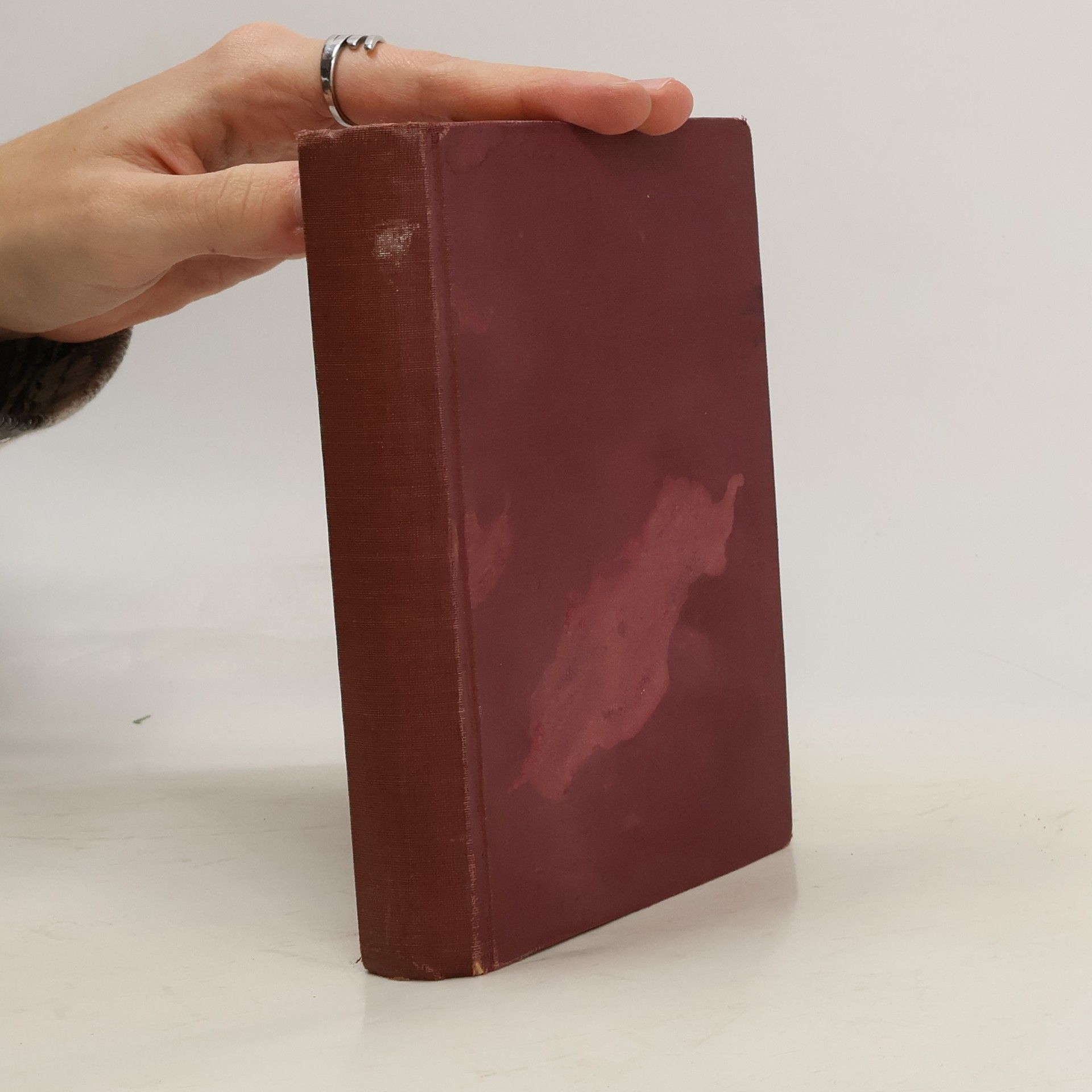 Alexandre Dumas Vlčice III.