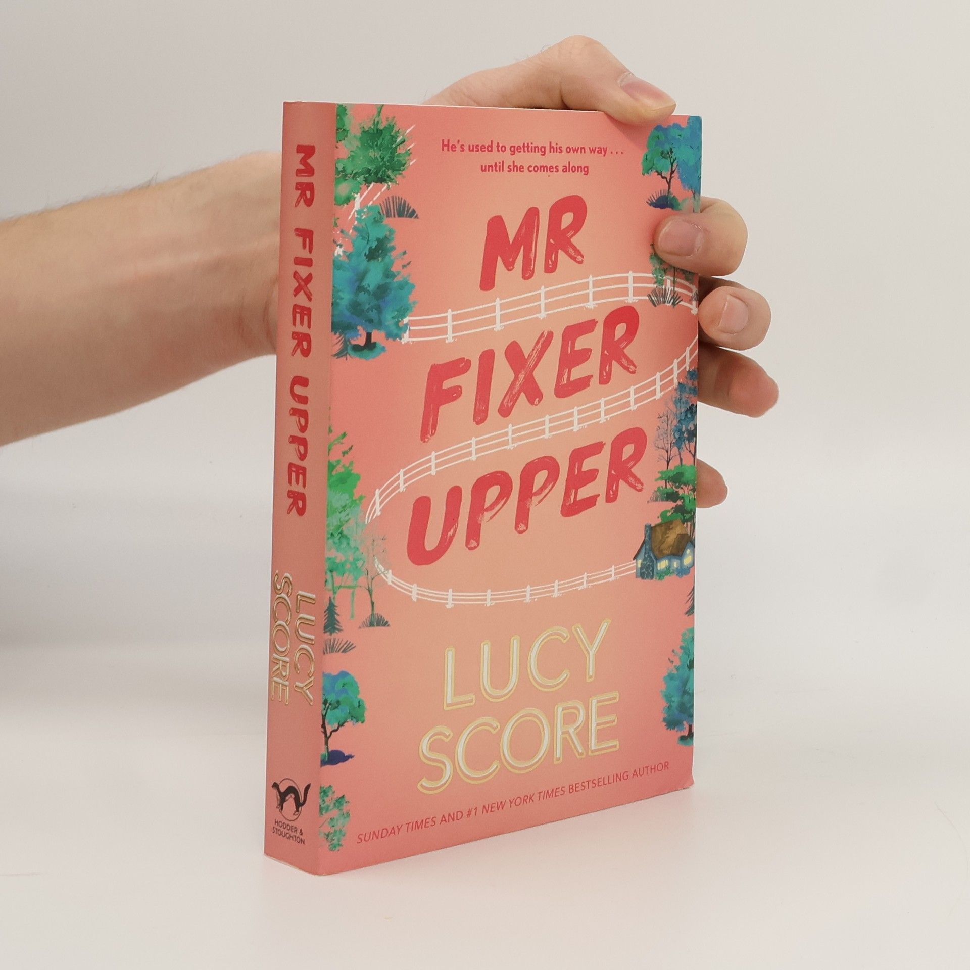 Lucy Score Mr Fixer Upper: the new romance from the bestselling Tiktok sensation!