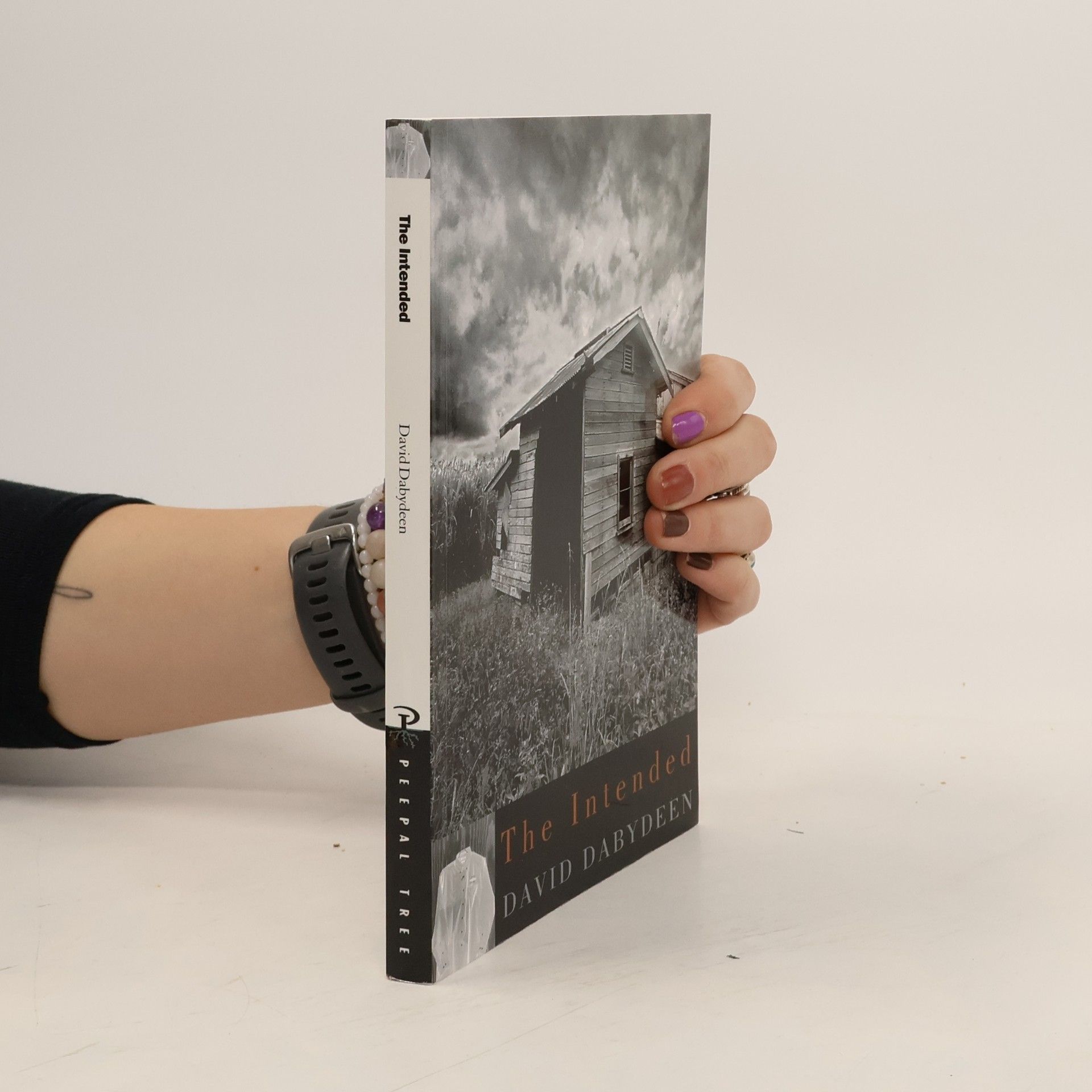 David Dabydeen The Intended