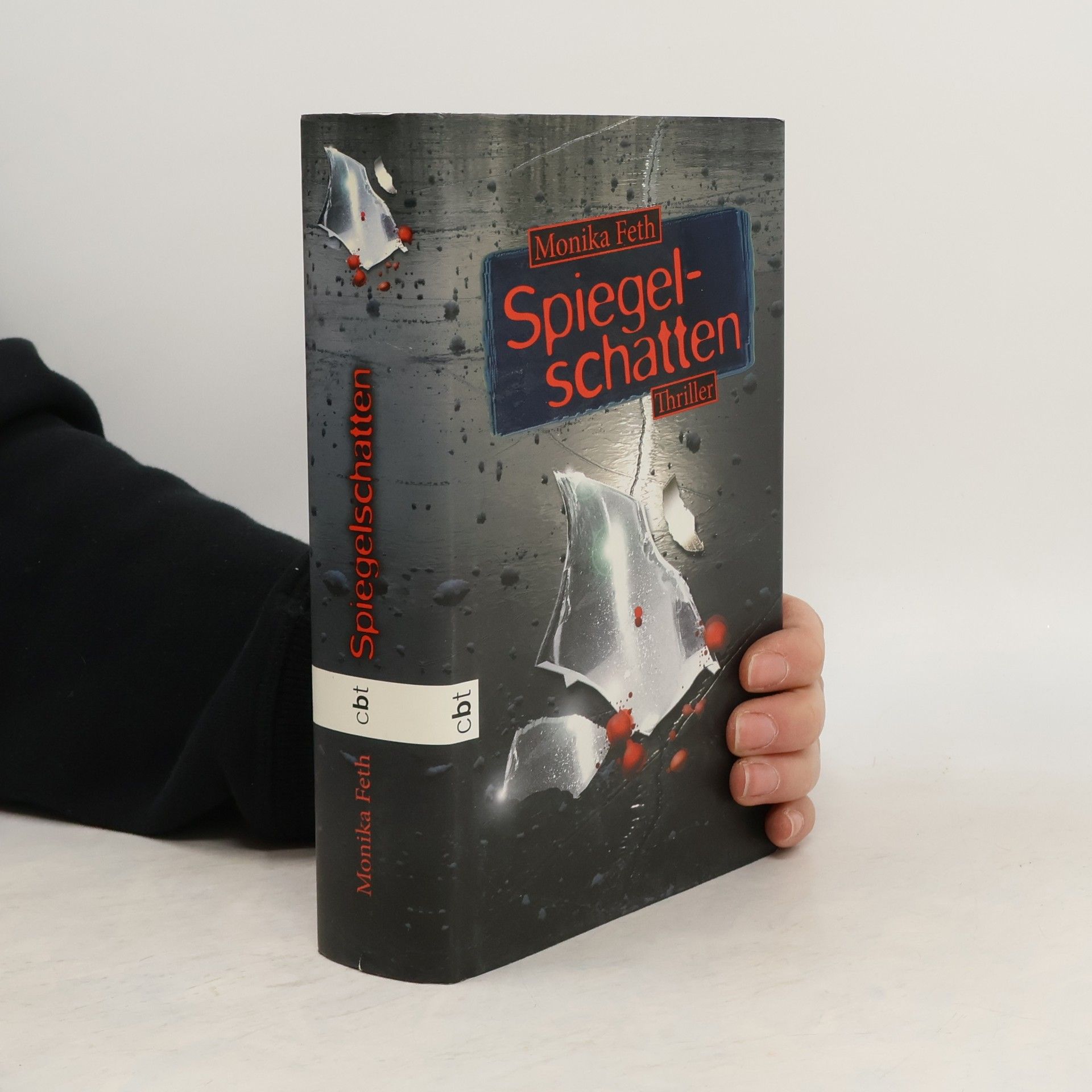 Monika Feth Spiegelschatten