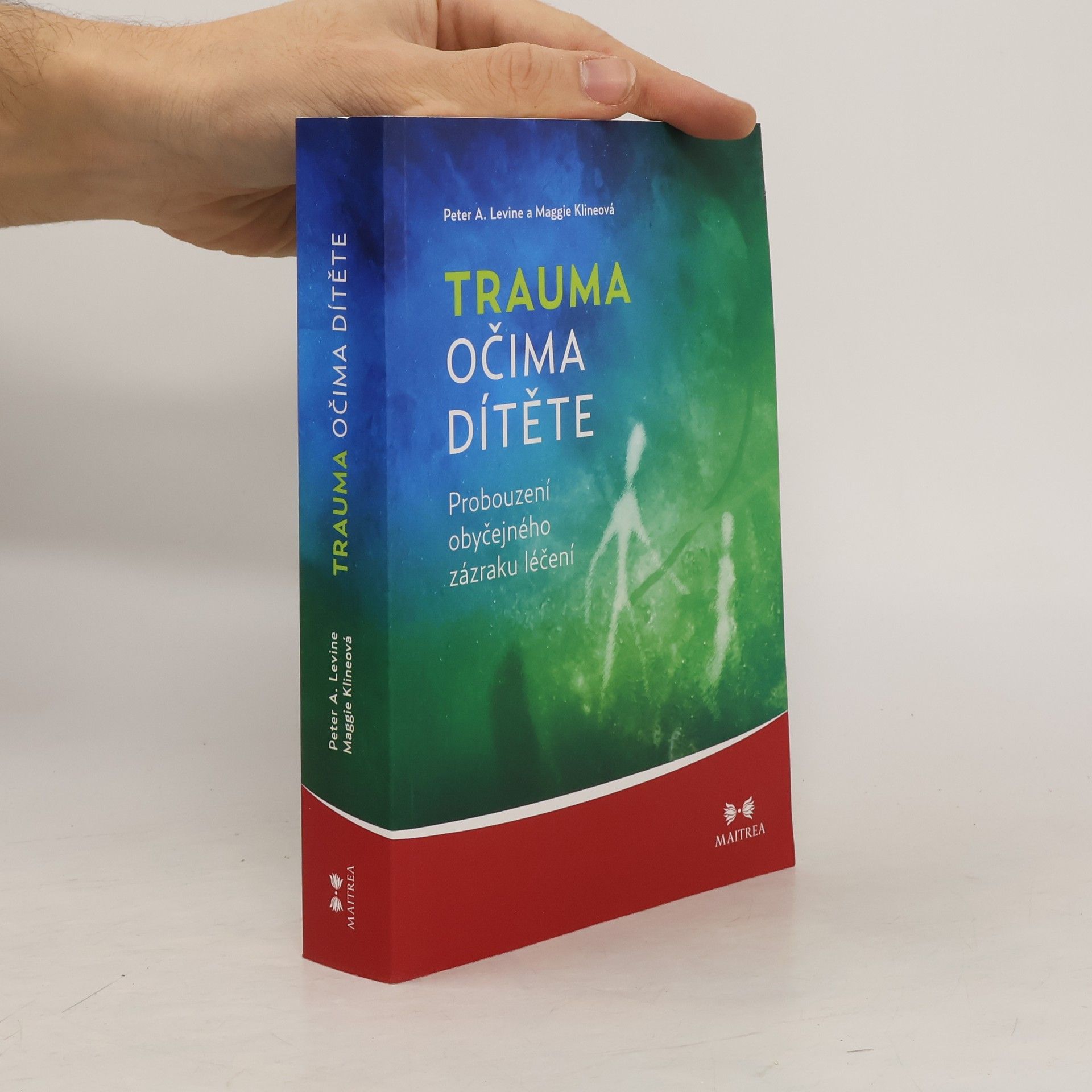 Trauma očima dítěte. Probouzení obyčejného zázraku léčení