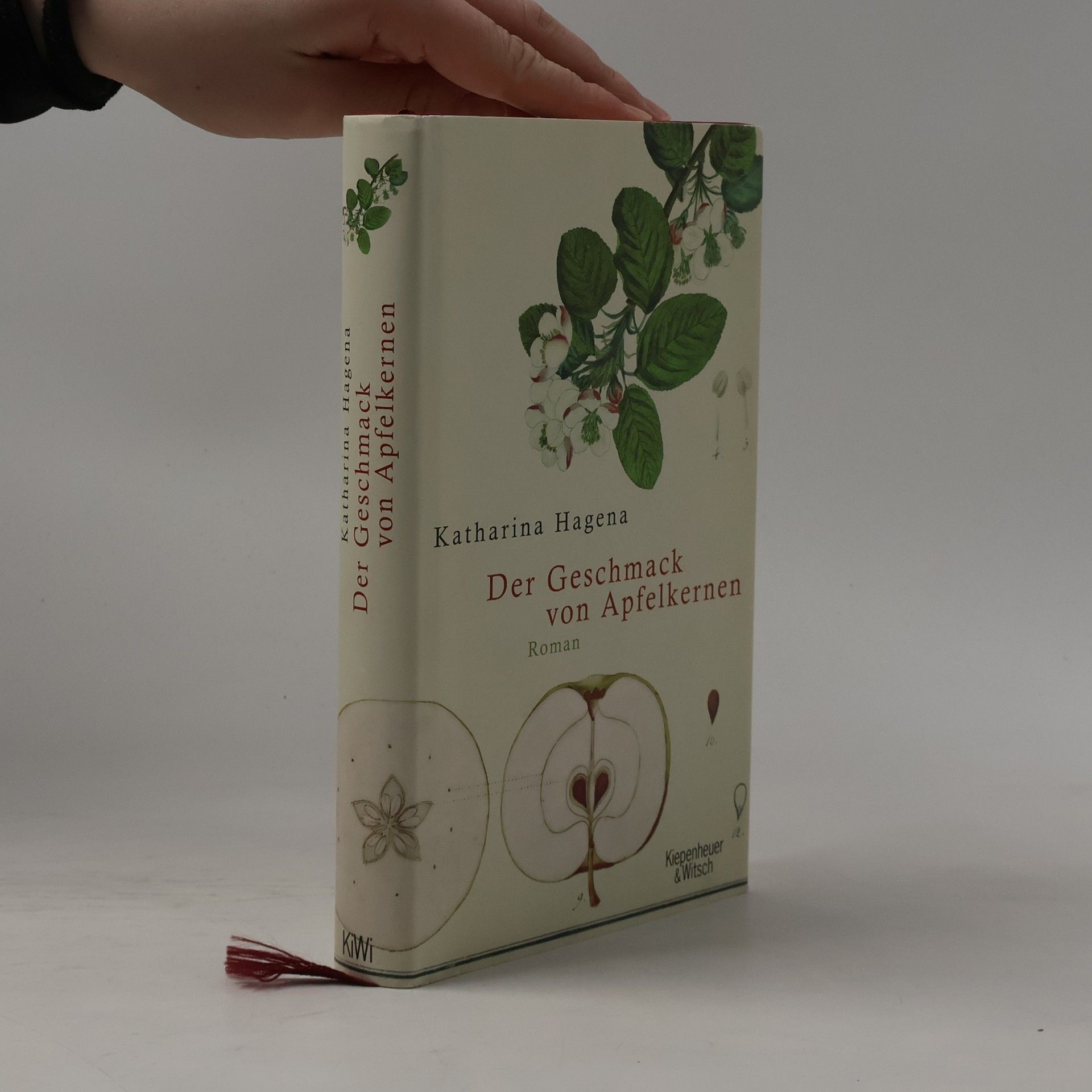 Katharina Hagena Der Geschmack von Apfelkernen