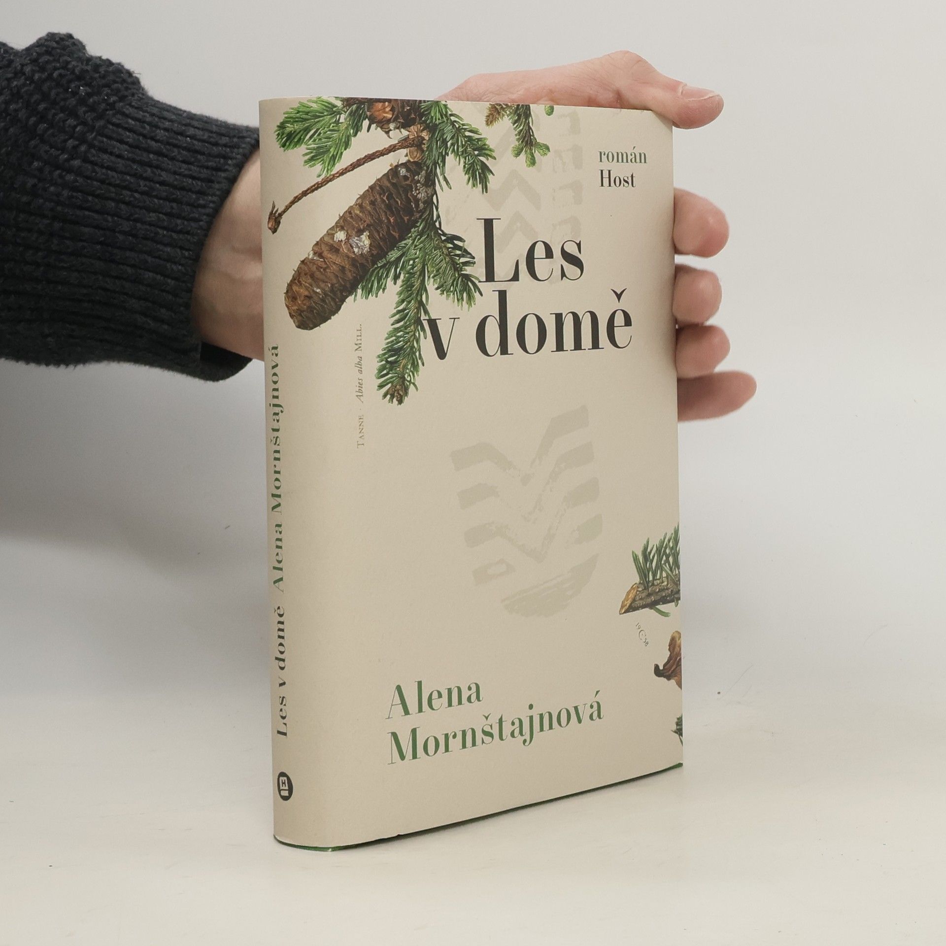Alena Mornštajnová Les v domě