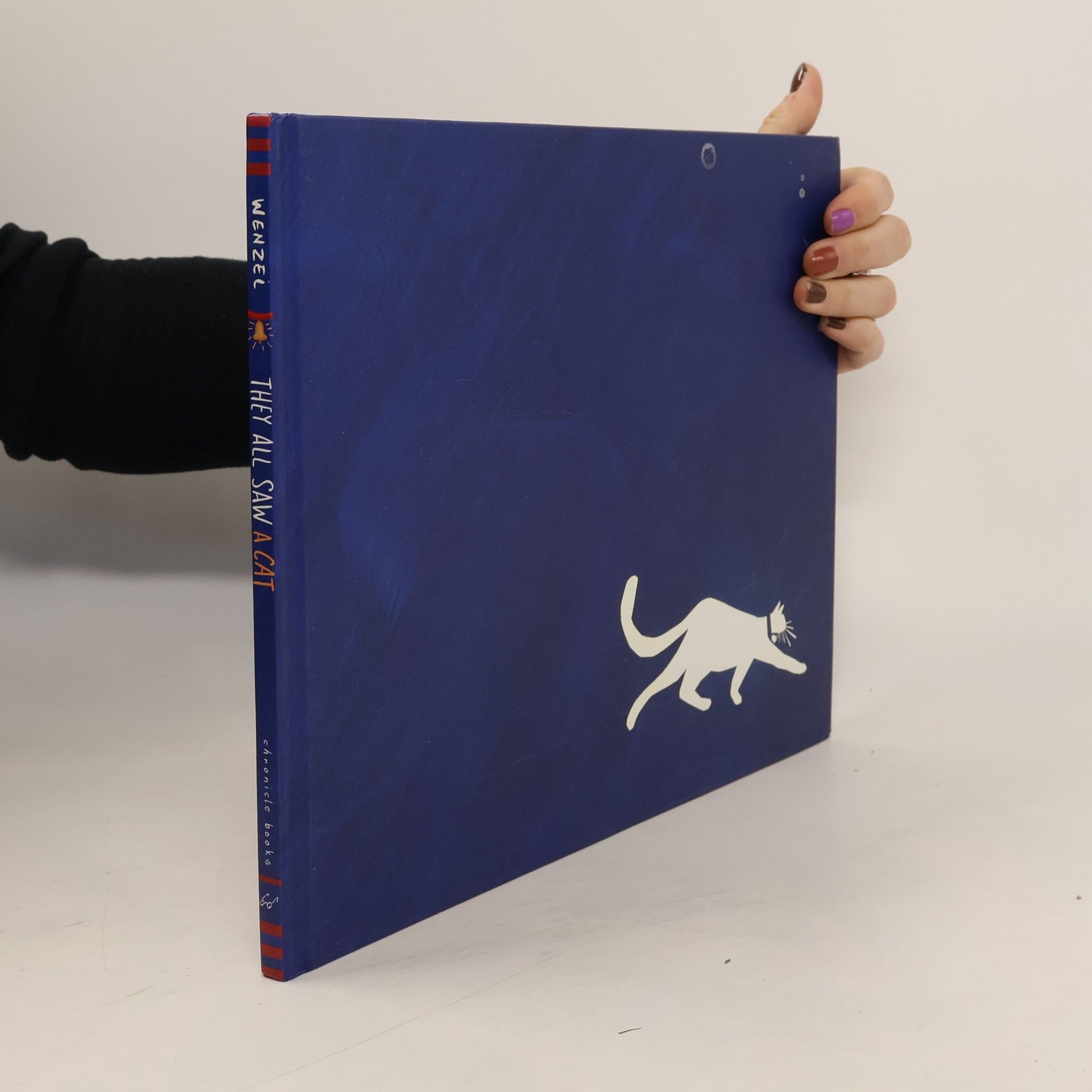 Brendan Wenzel They All Saw a Cat