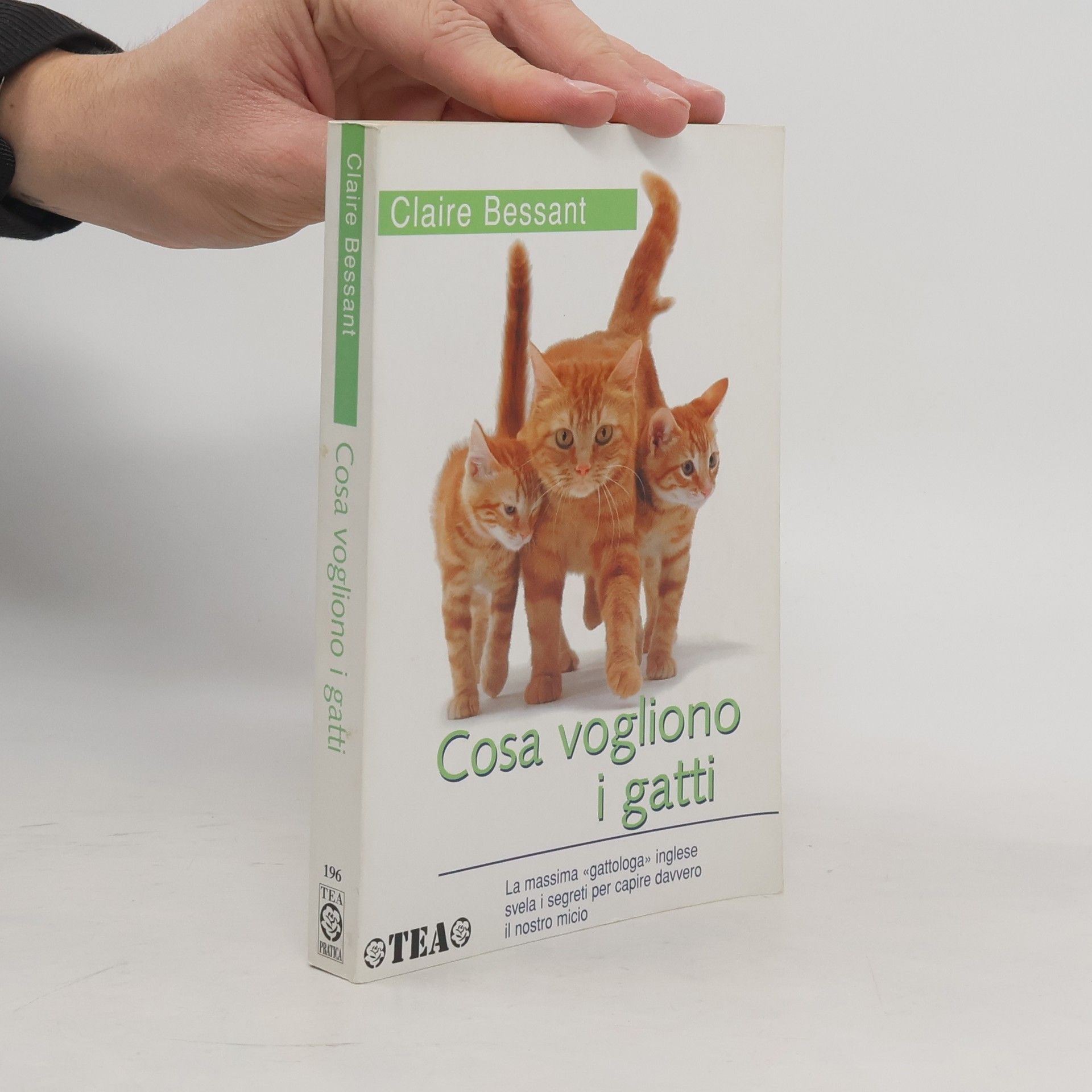 Claire Bessant Cosa vogliono i gatti