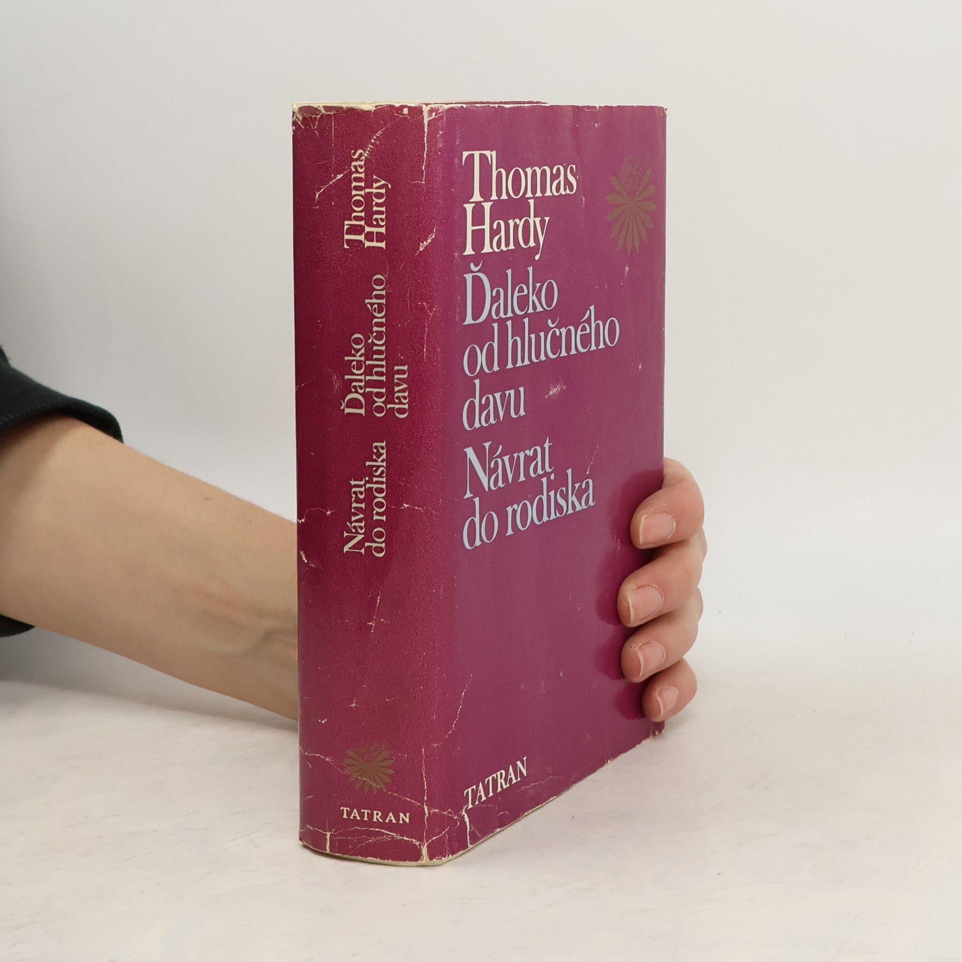 Thomas Hardy Ďaleko od hlučného davu. Návrat do rodiska