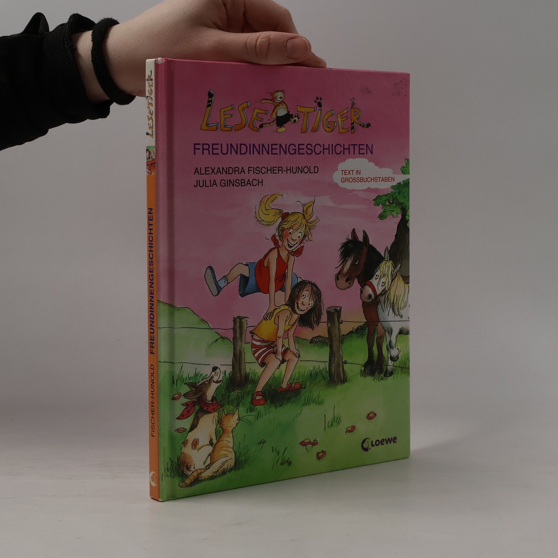 Alexandra Fisher Hunold Lesetiger Freundinnengeschichten