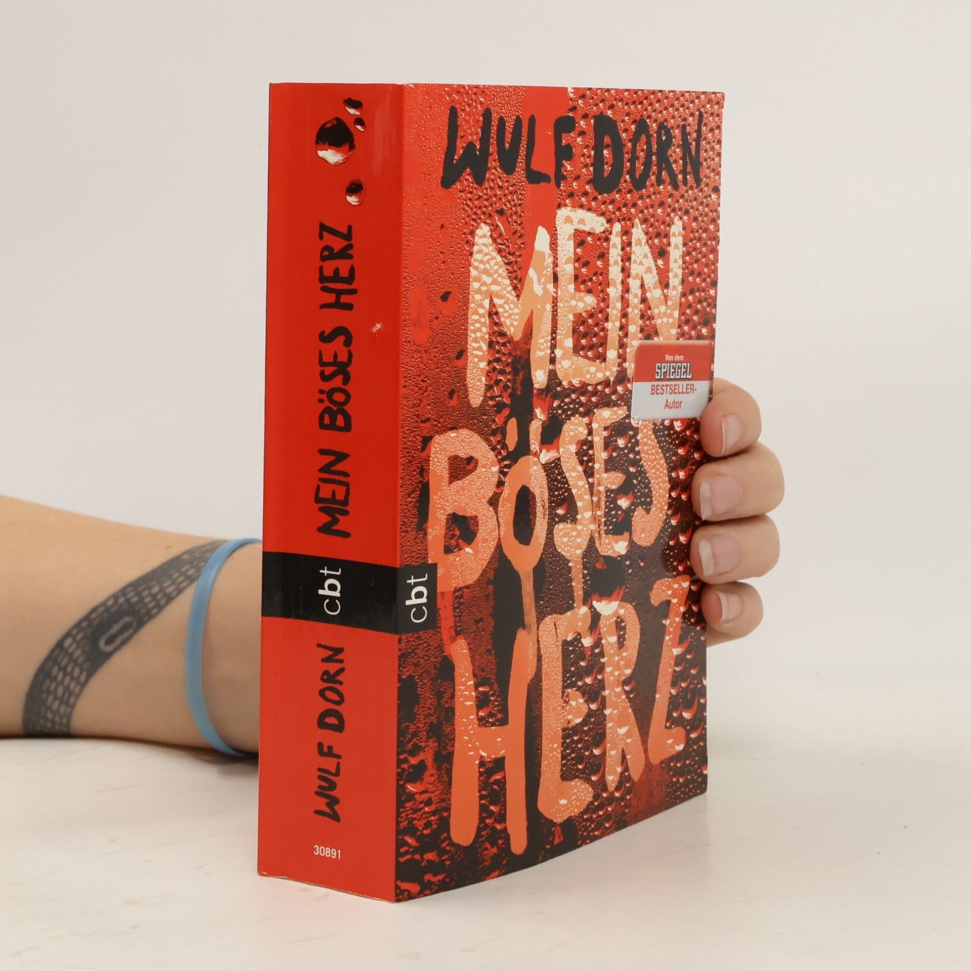 Wulf Dorn Mein böses Herz