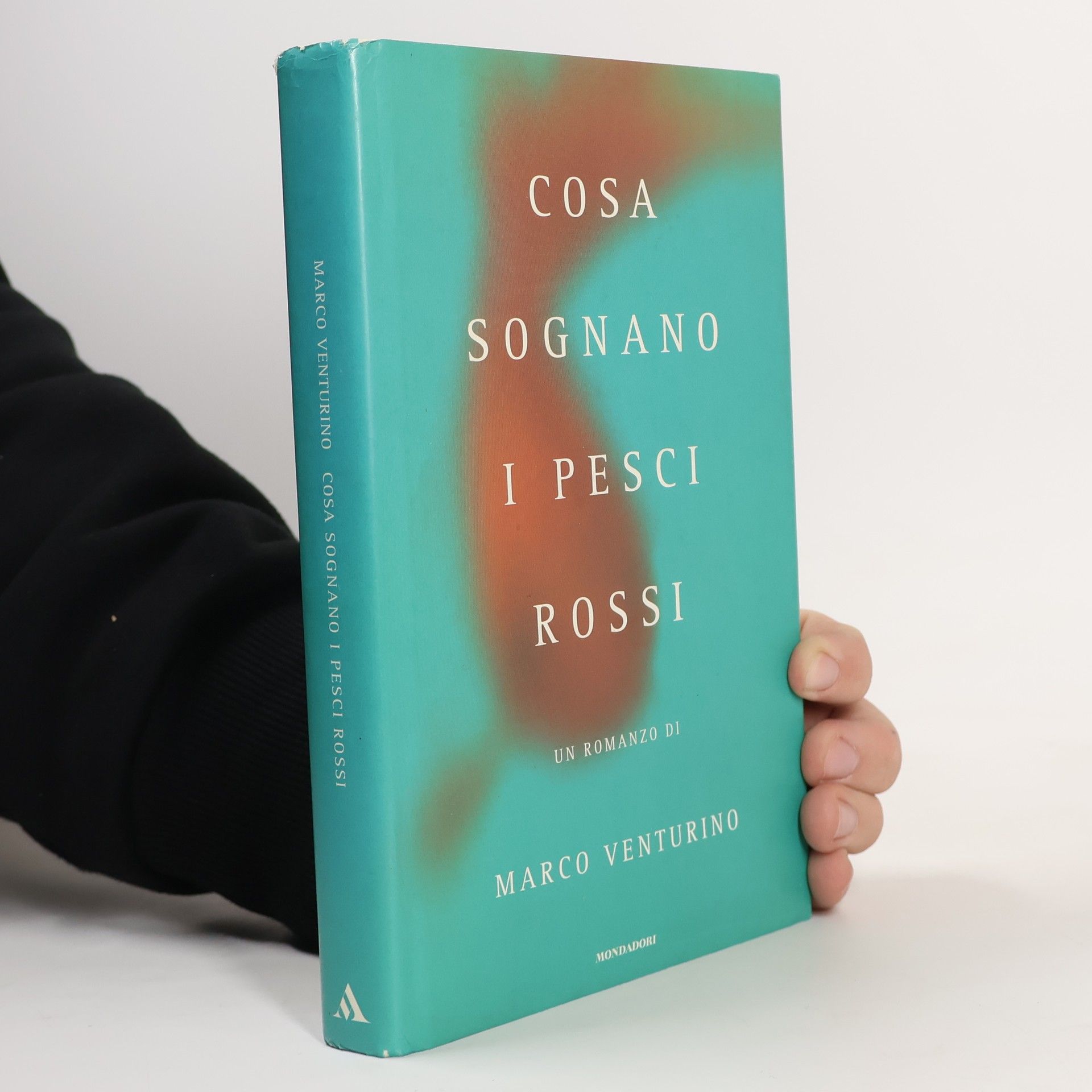 Marco Venturino Cosa sognano i pesci rossi