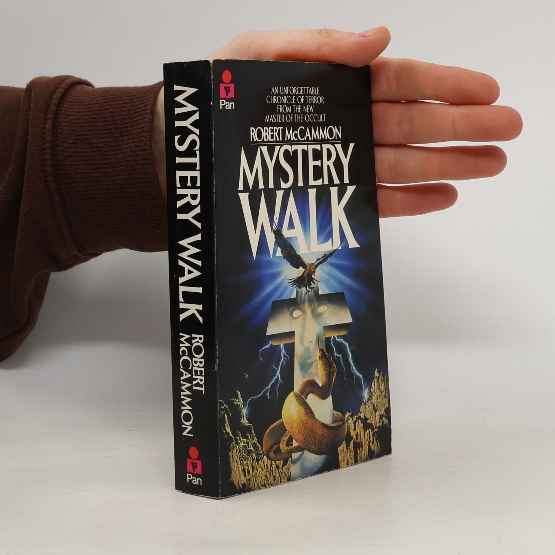 Robert McCammon Mystery Walk