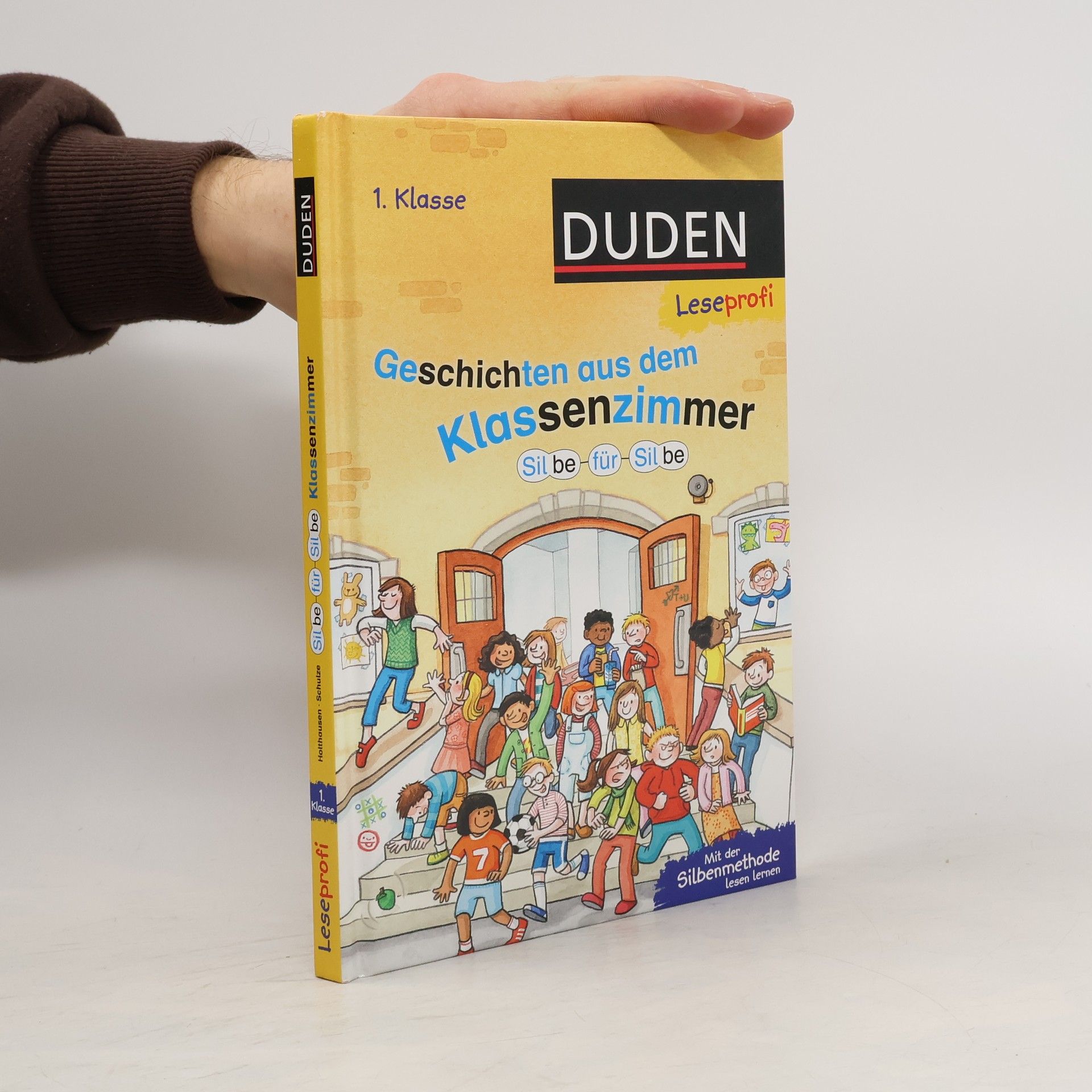 Luise Holthausen Geschichten aus dem Klassenzimmer