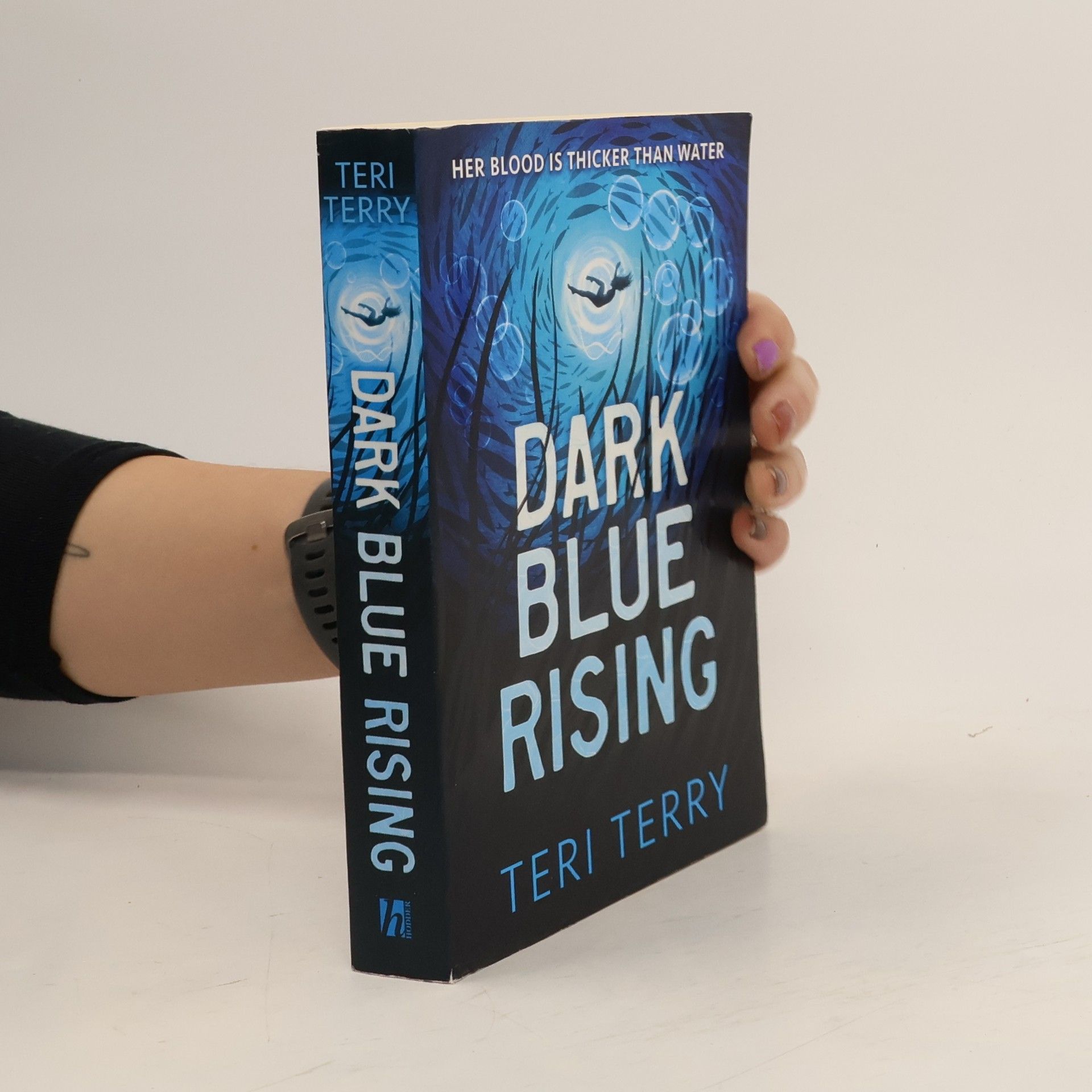Teri Terry Dark Blue Rising