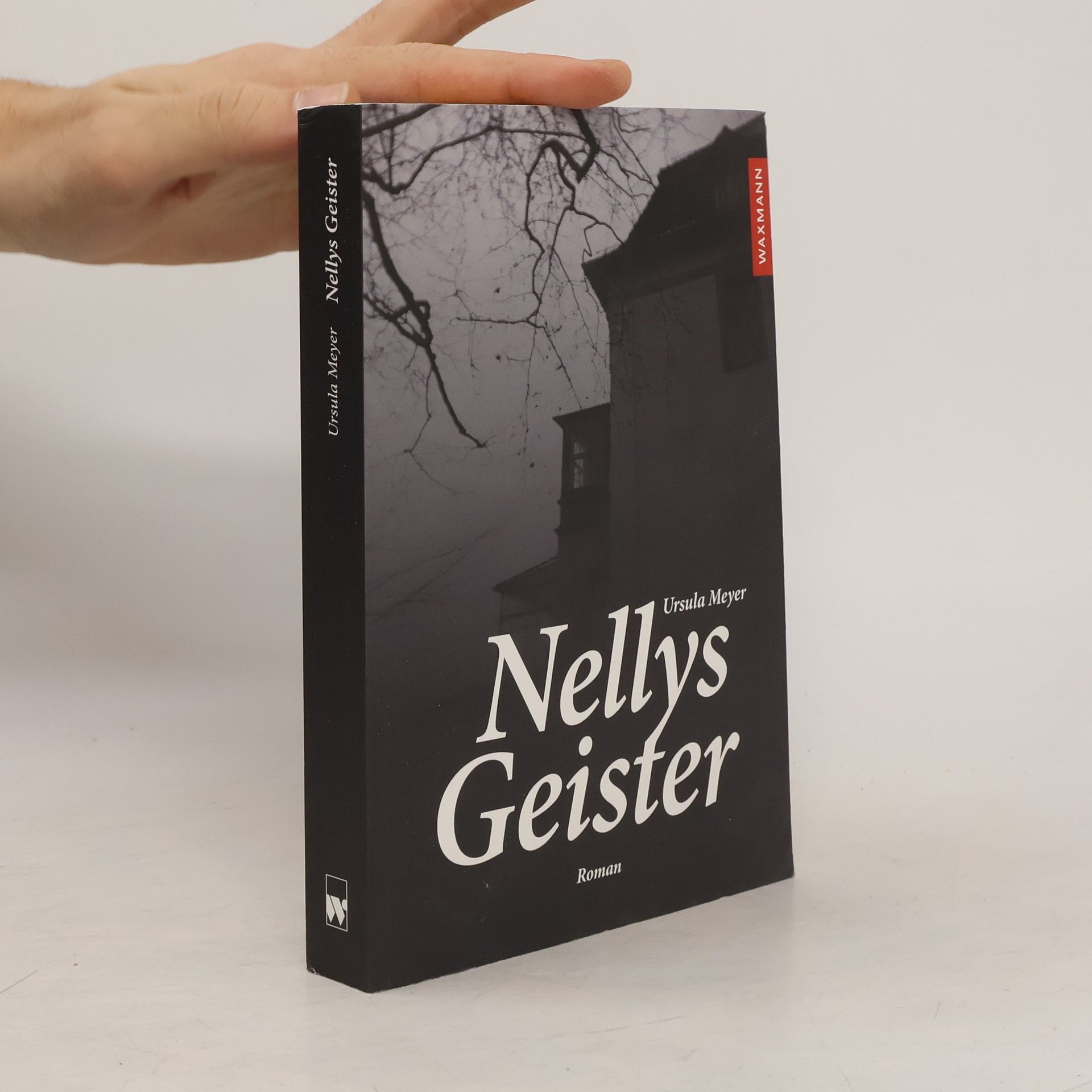 Ursula Meyer-Semlies Nellys Geister