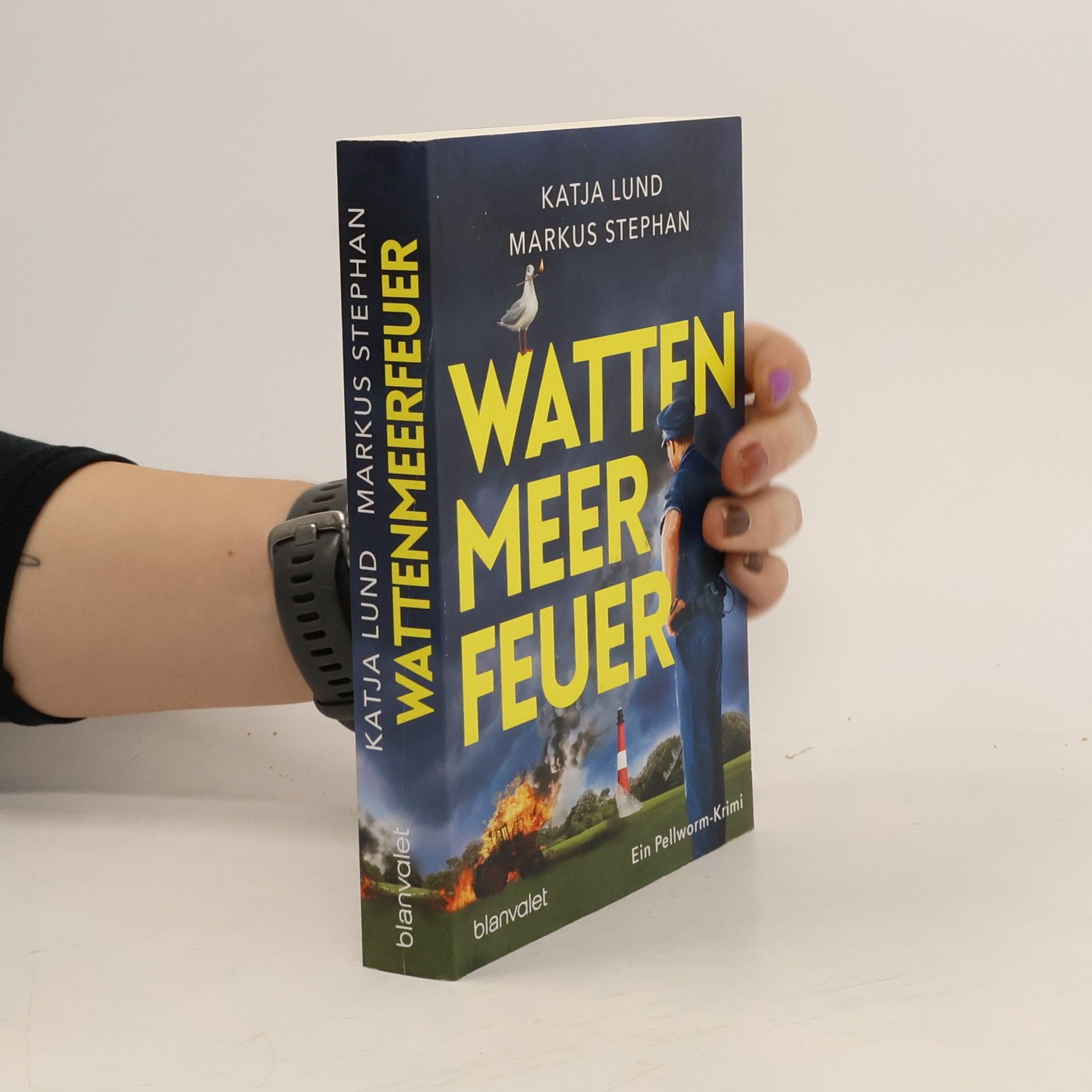 Collectif d'auteurs Wattenmeerfeuer