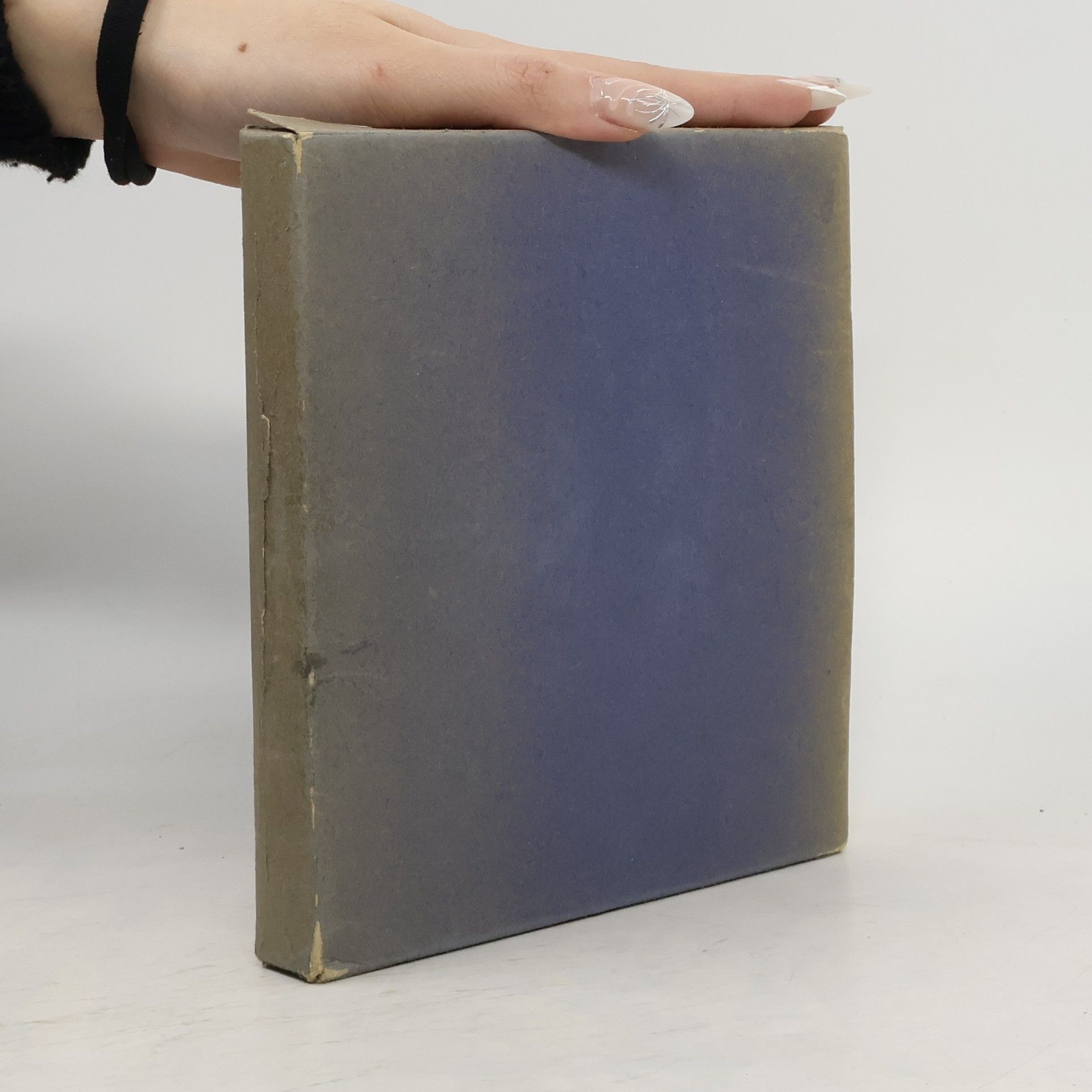 AA.VV. The Taste of Our Time. Renoir