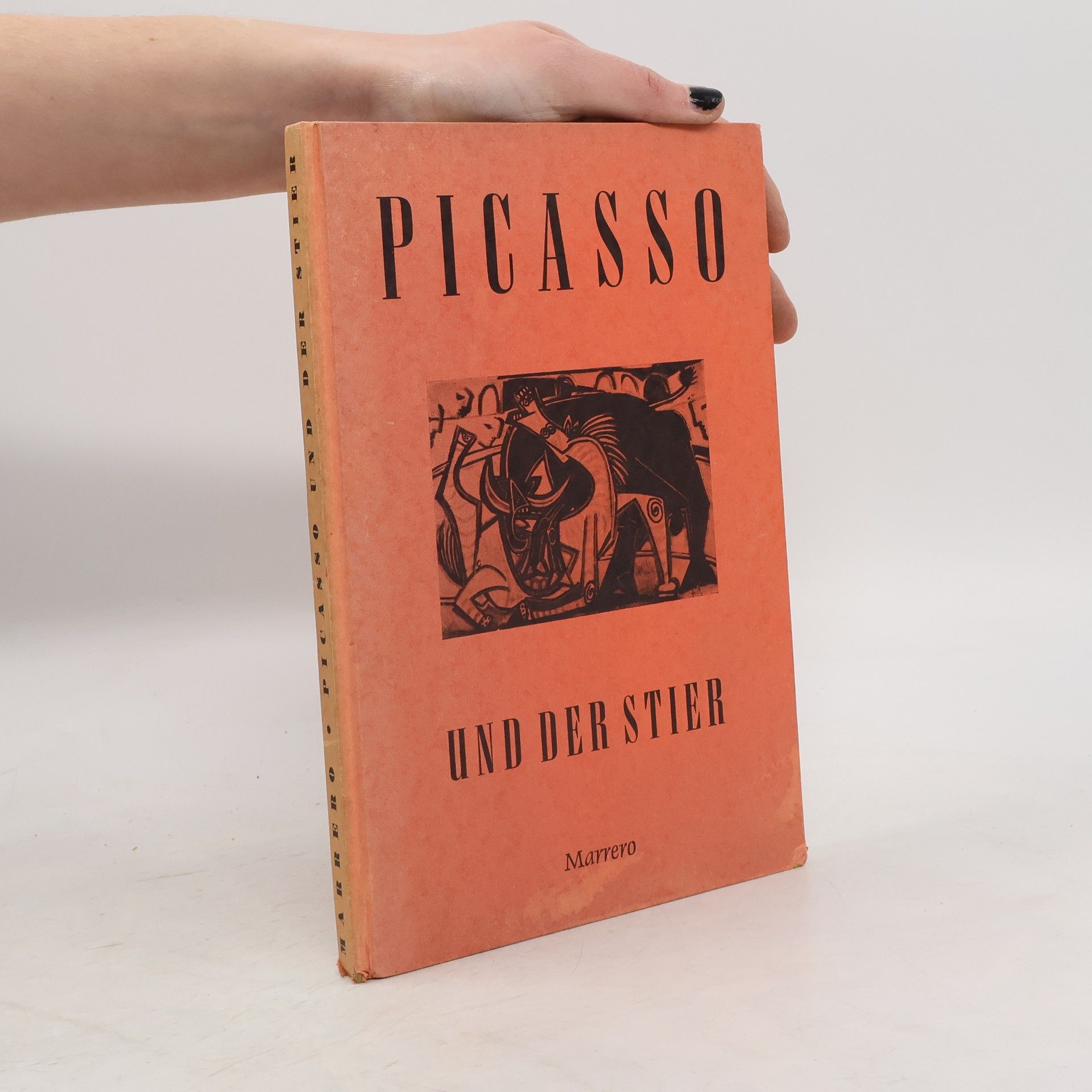 Vicente Marrero Picasso und der Stier