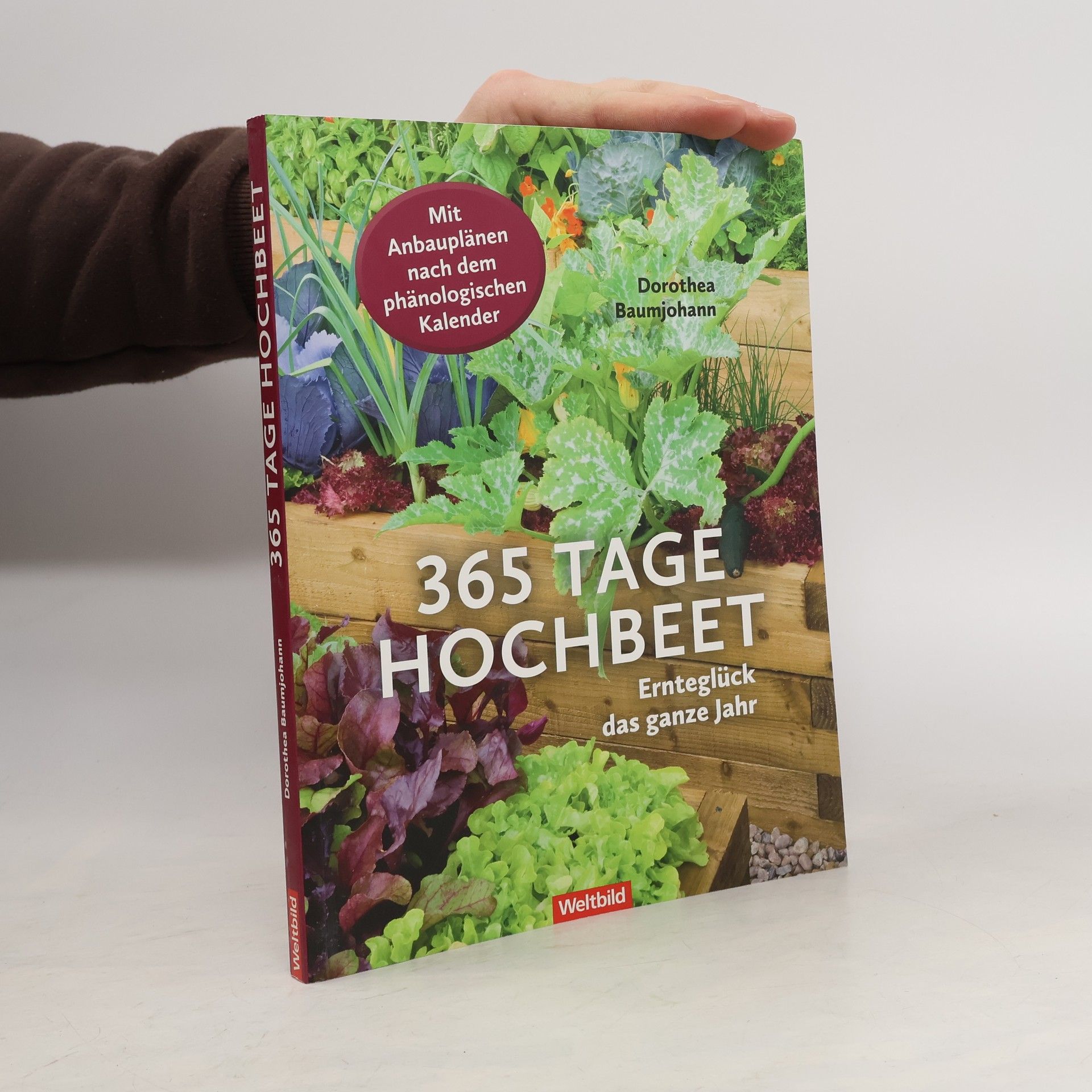 Dorothea Baumjohann 365 Tage Hochbeet