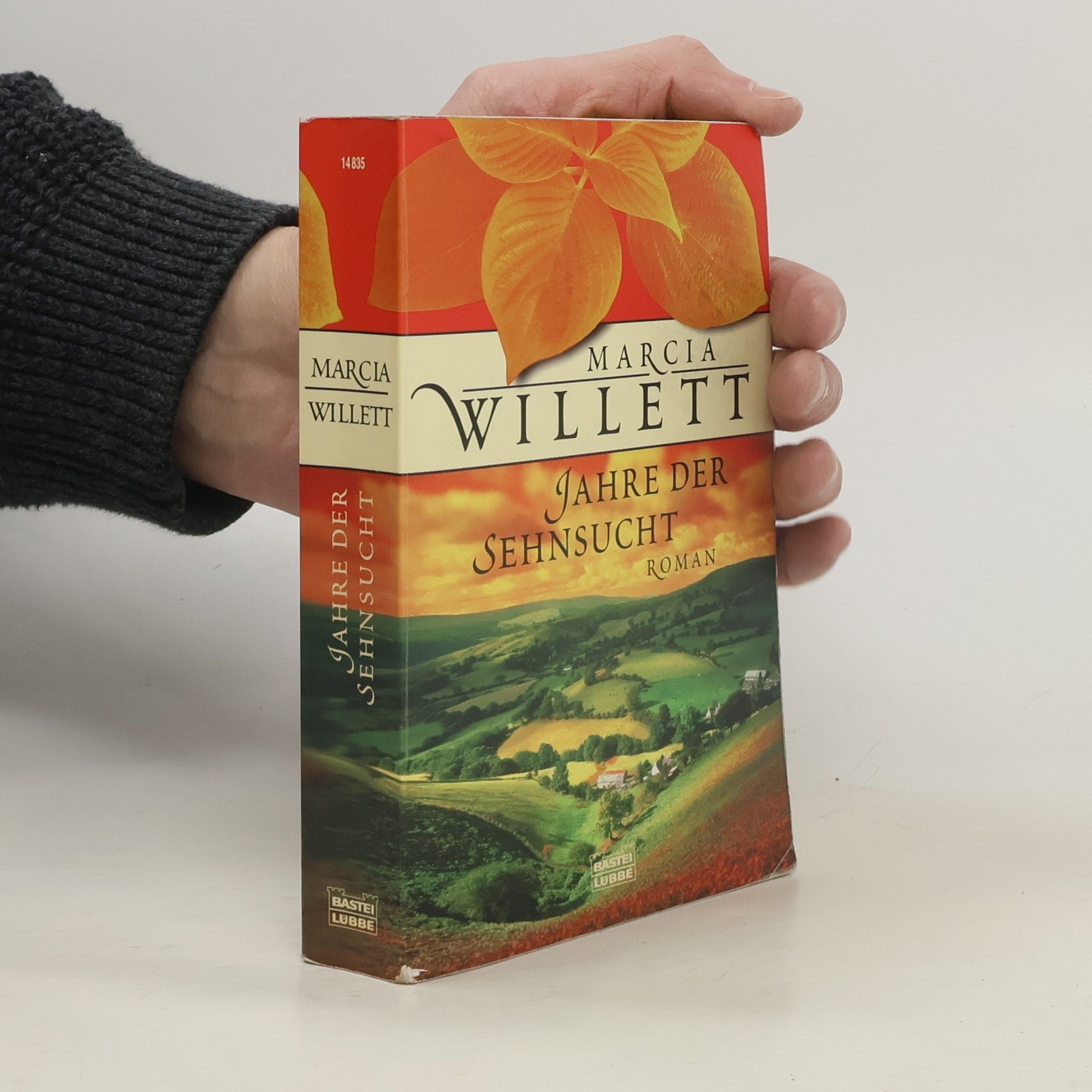 Marcia Willett Jahre der Sehnsucht