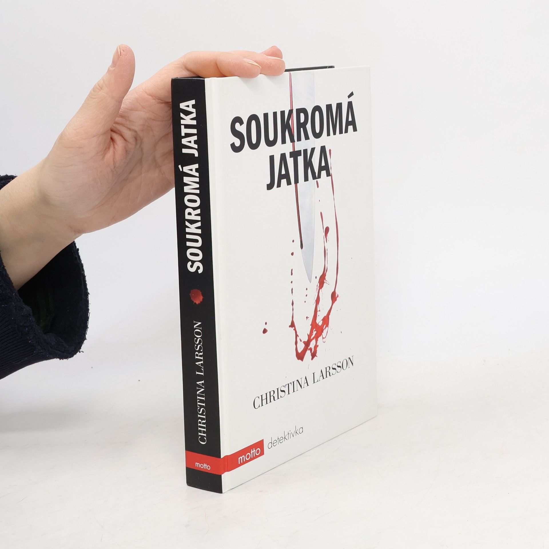 Christina Larsson Soukromá jatka