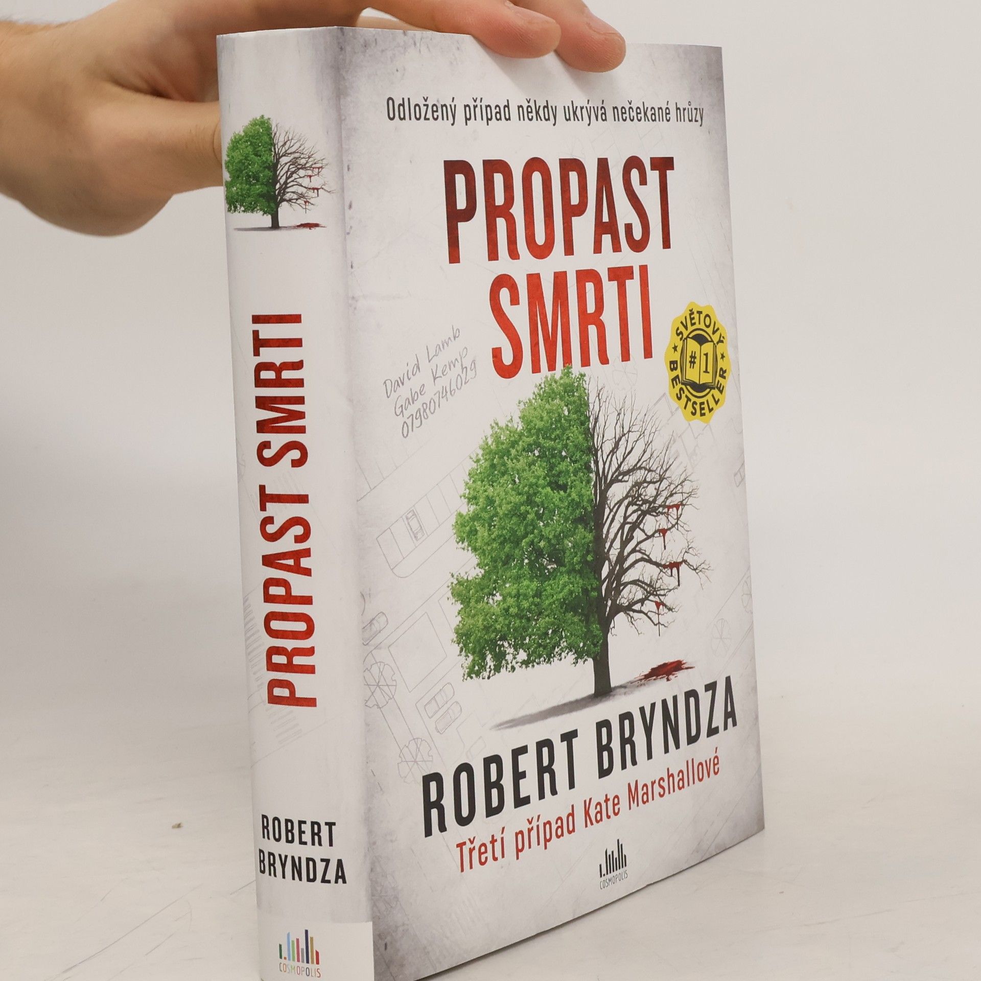 Robert Bryndza Propast smrti