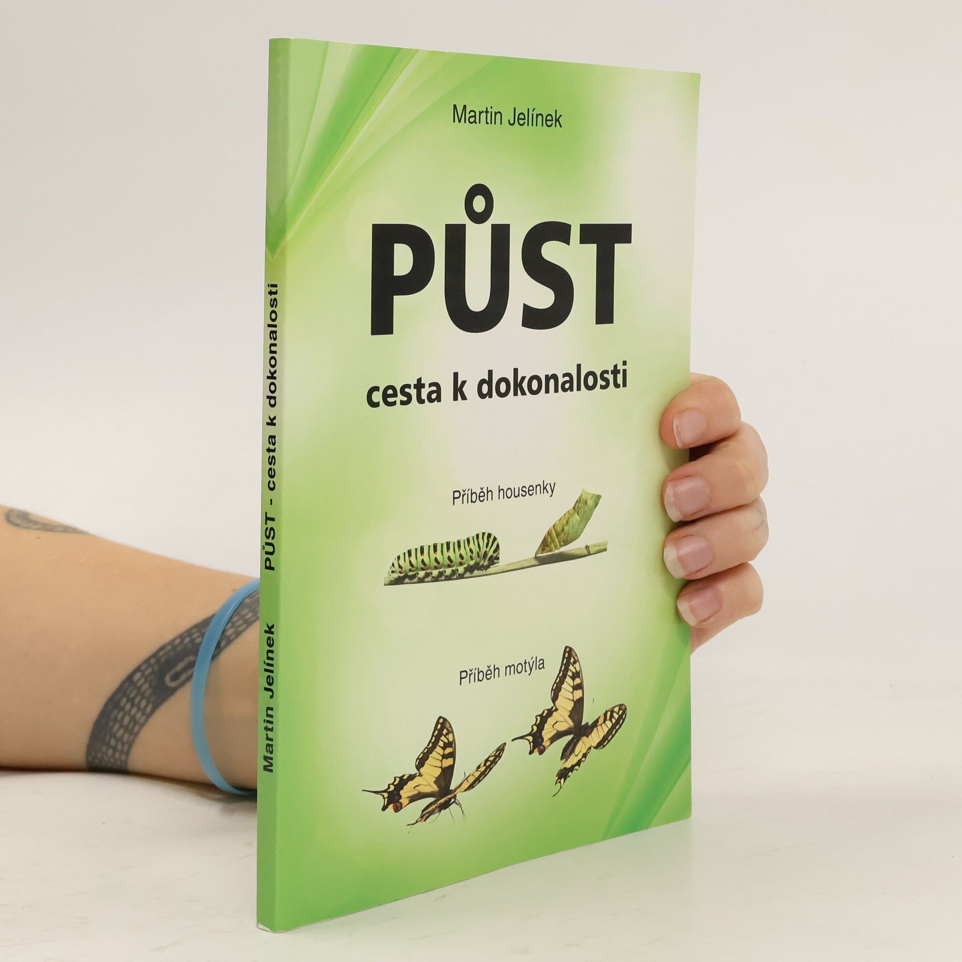 Jelínek Martin Půst - cesta k dokonalosti