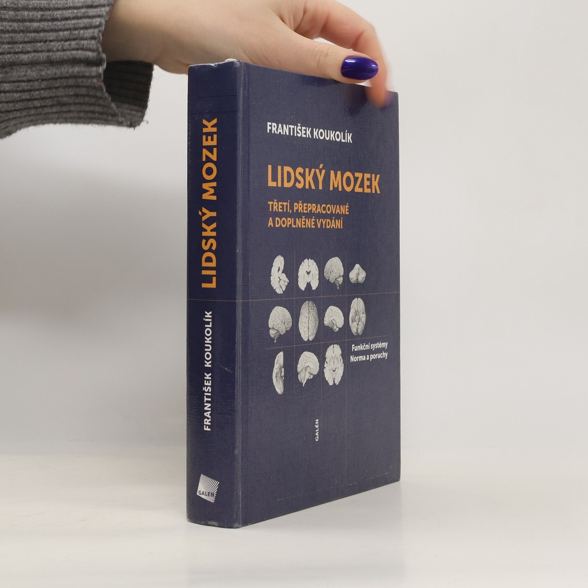 František Koukolík Lidský mozek