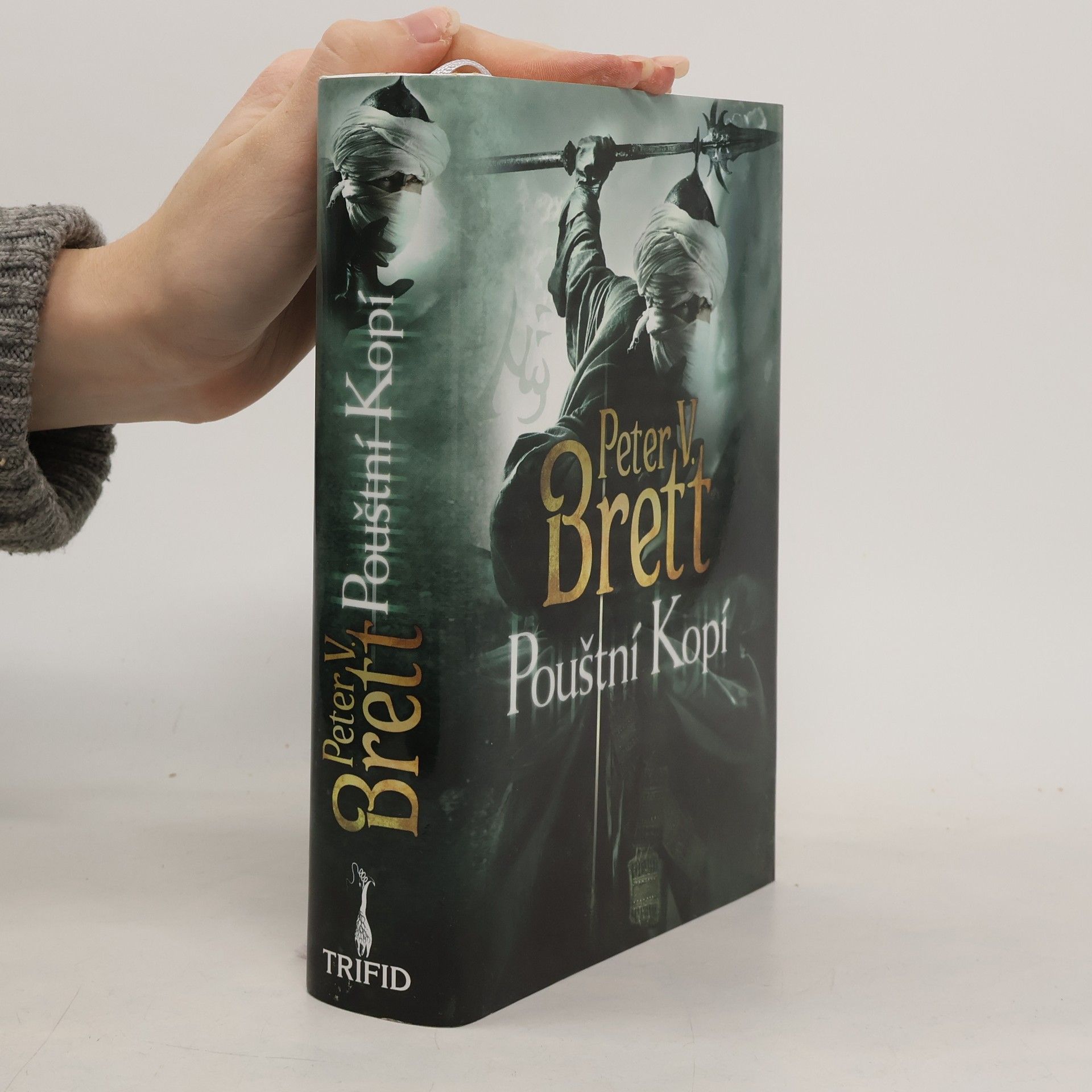 Peter V. Brett Pouštní Kopí