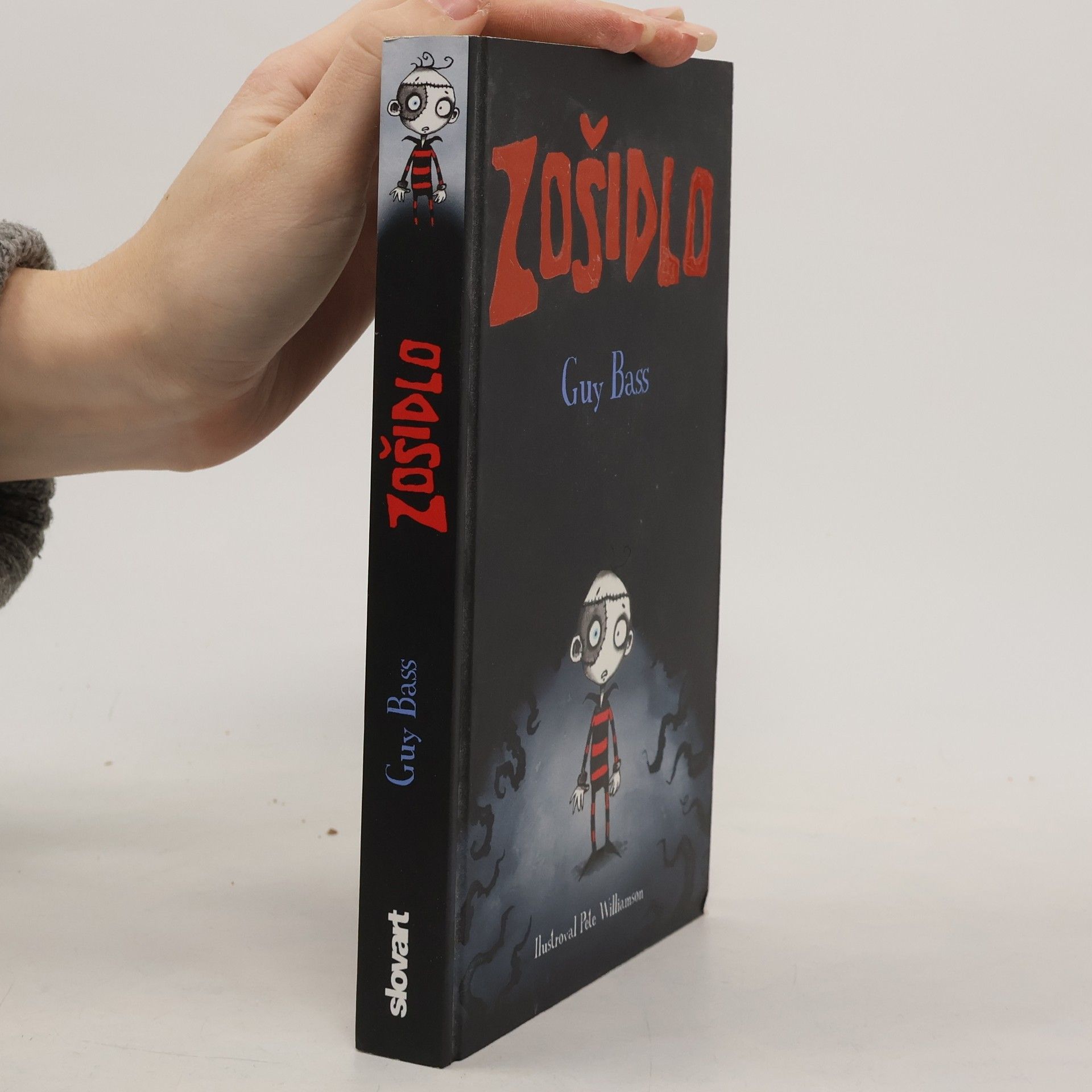 Guy Bass Zošidlo